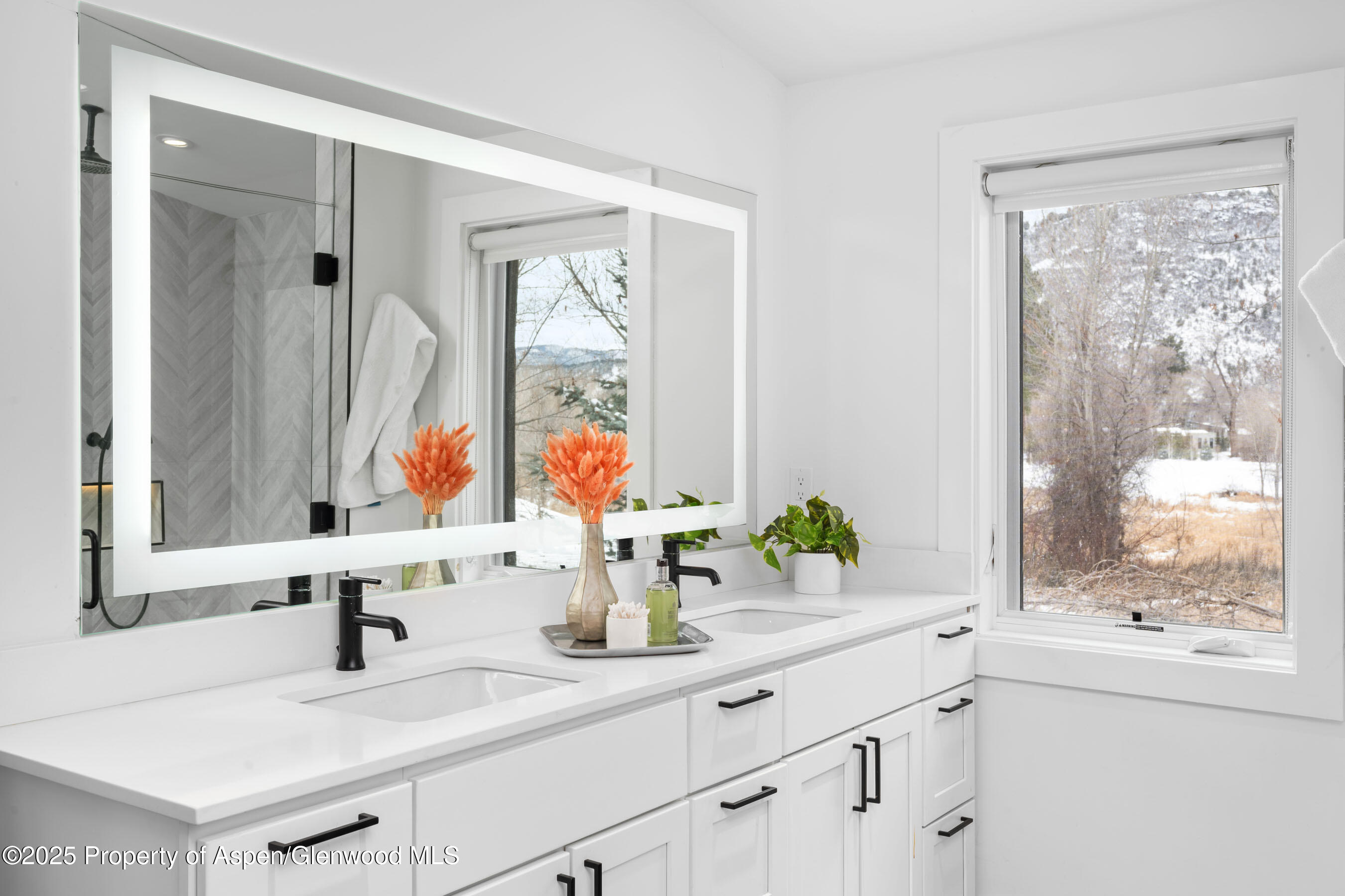 120 Equestrian Way Carbondale CO 81623