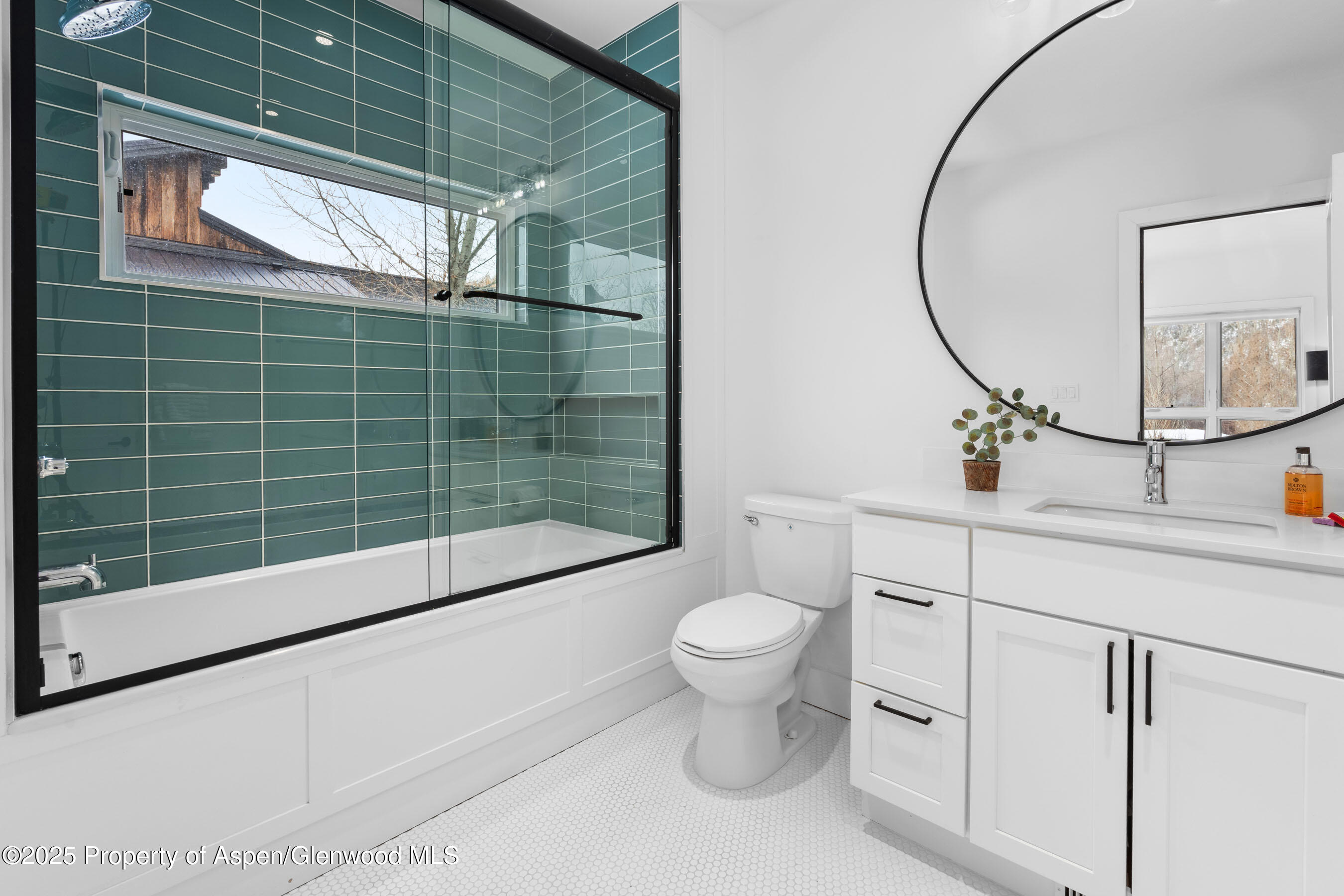 120 Equestrian Way Carbondale CO 81623