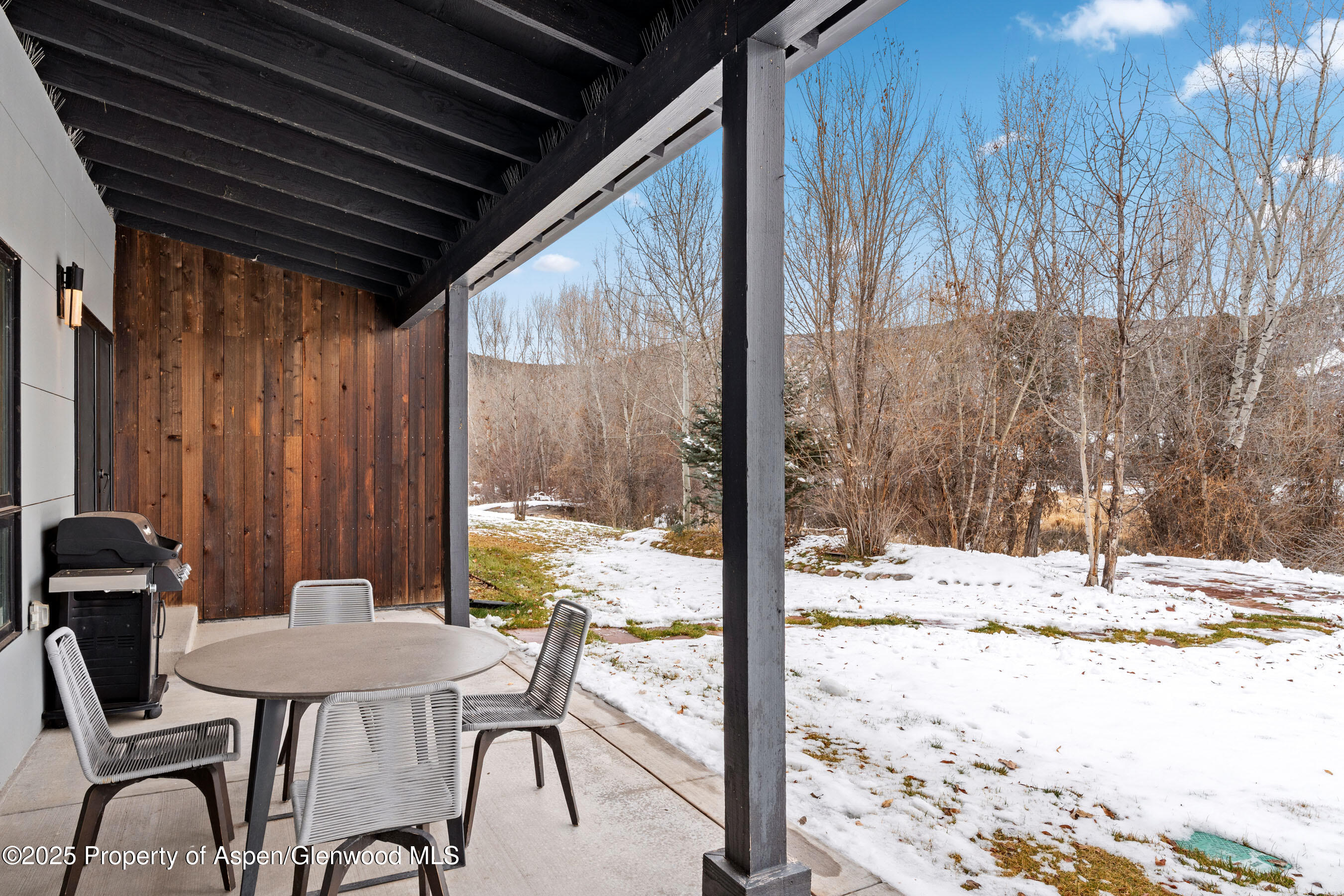 120 Equestrian Way Carbondale CO 81623