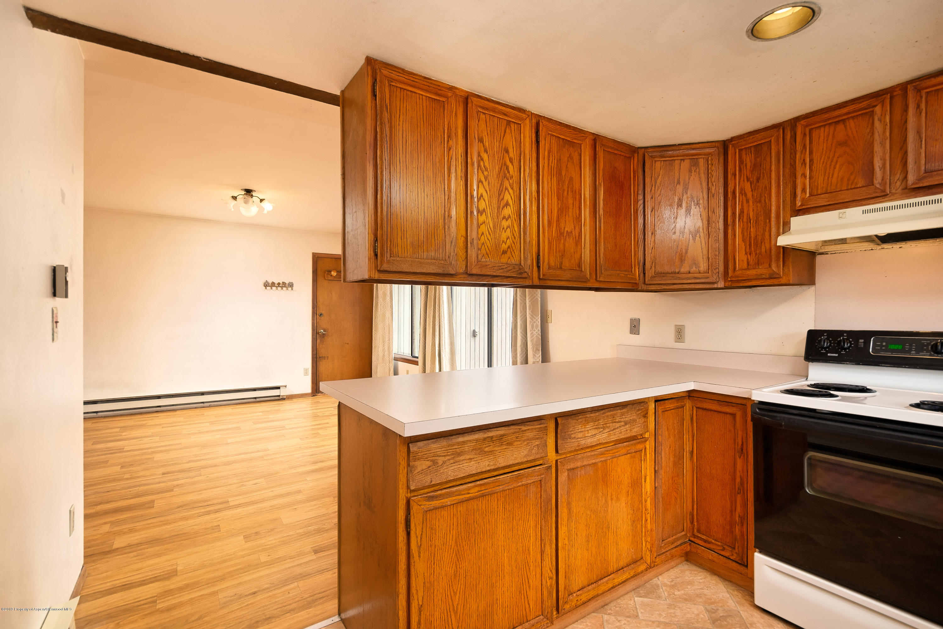 230 Surrey Street Carbondale CO 81623