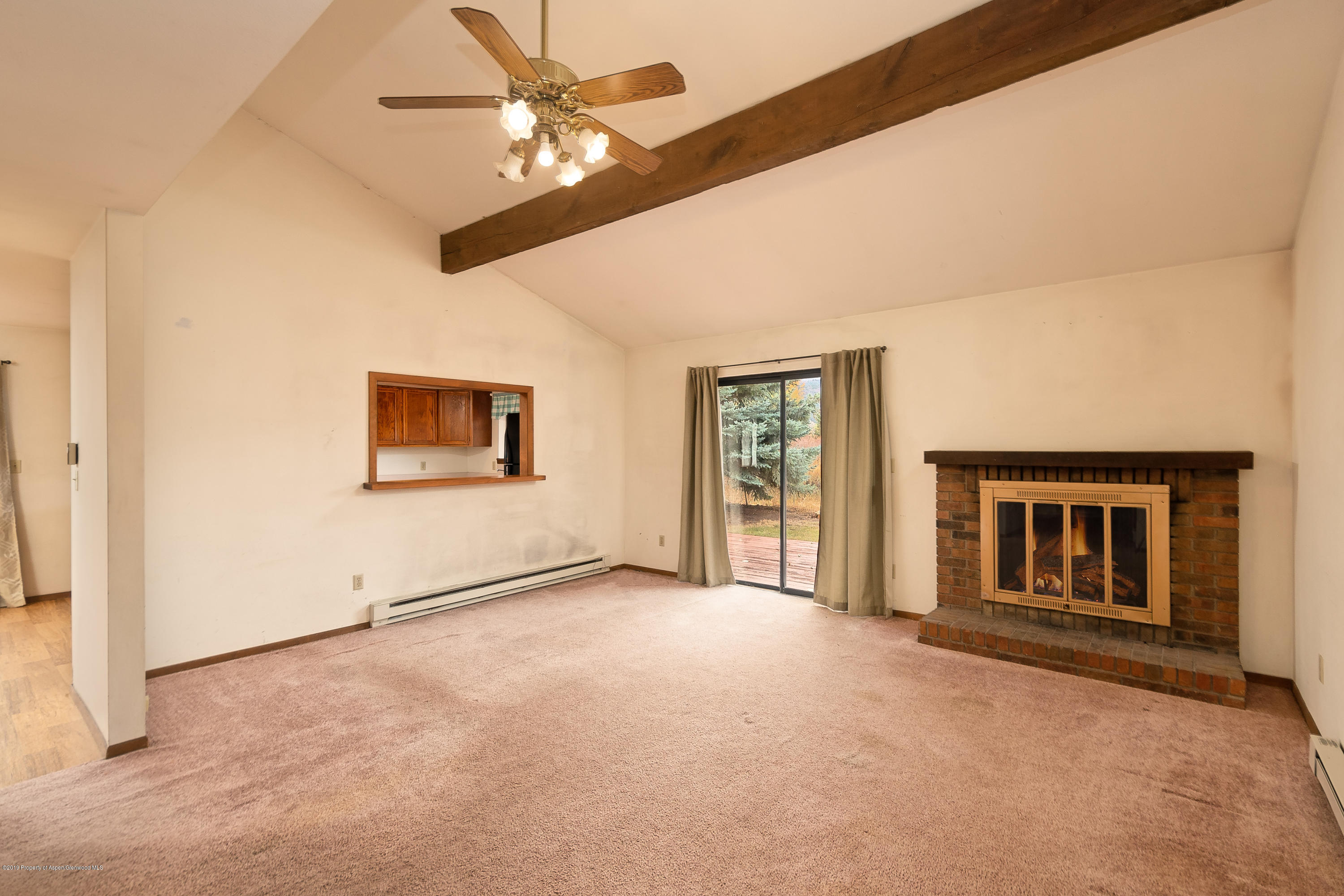 230 Surrey Street Carbondale CO 81623