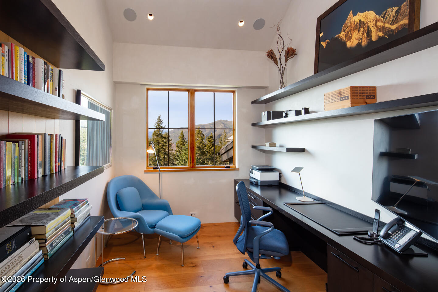991 Moore Drive Aspen CO 81611
