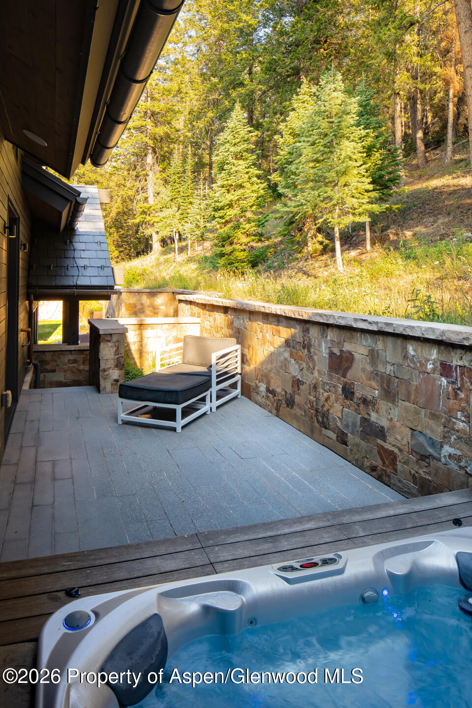 991 Moore Drive Aspen CO 81611