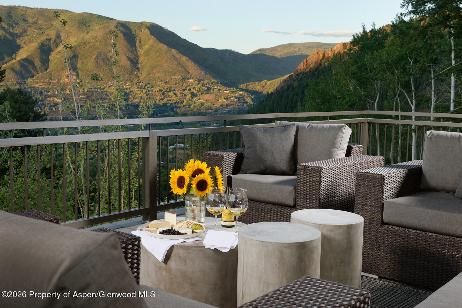 991 Moore Drive Aspen CO 81611