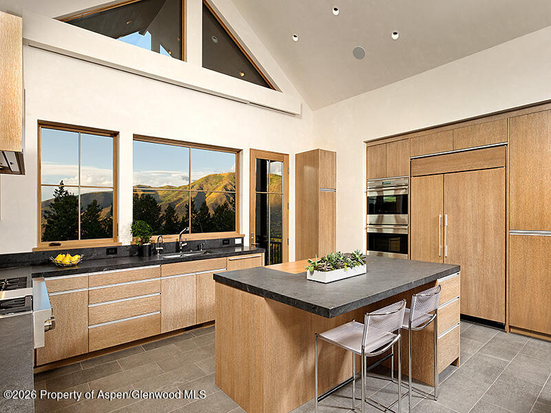 991 Moore Drive Aspen CO 81611