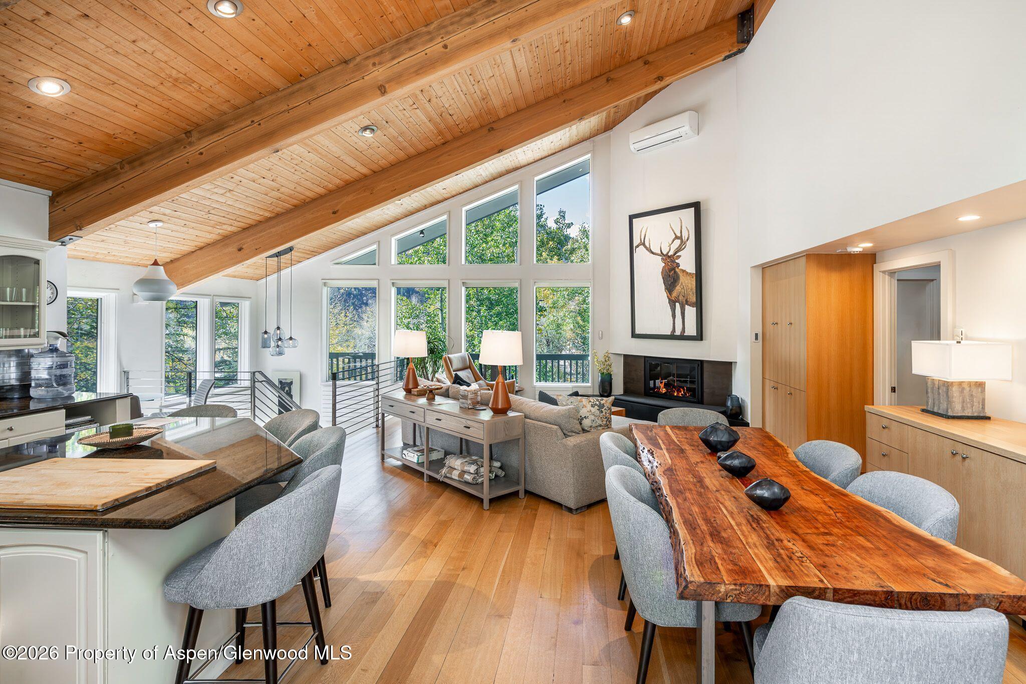 Aspen CO, 100 Mountain Laurel Court