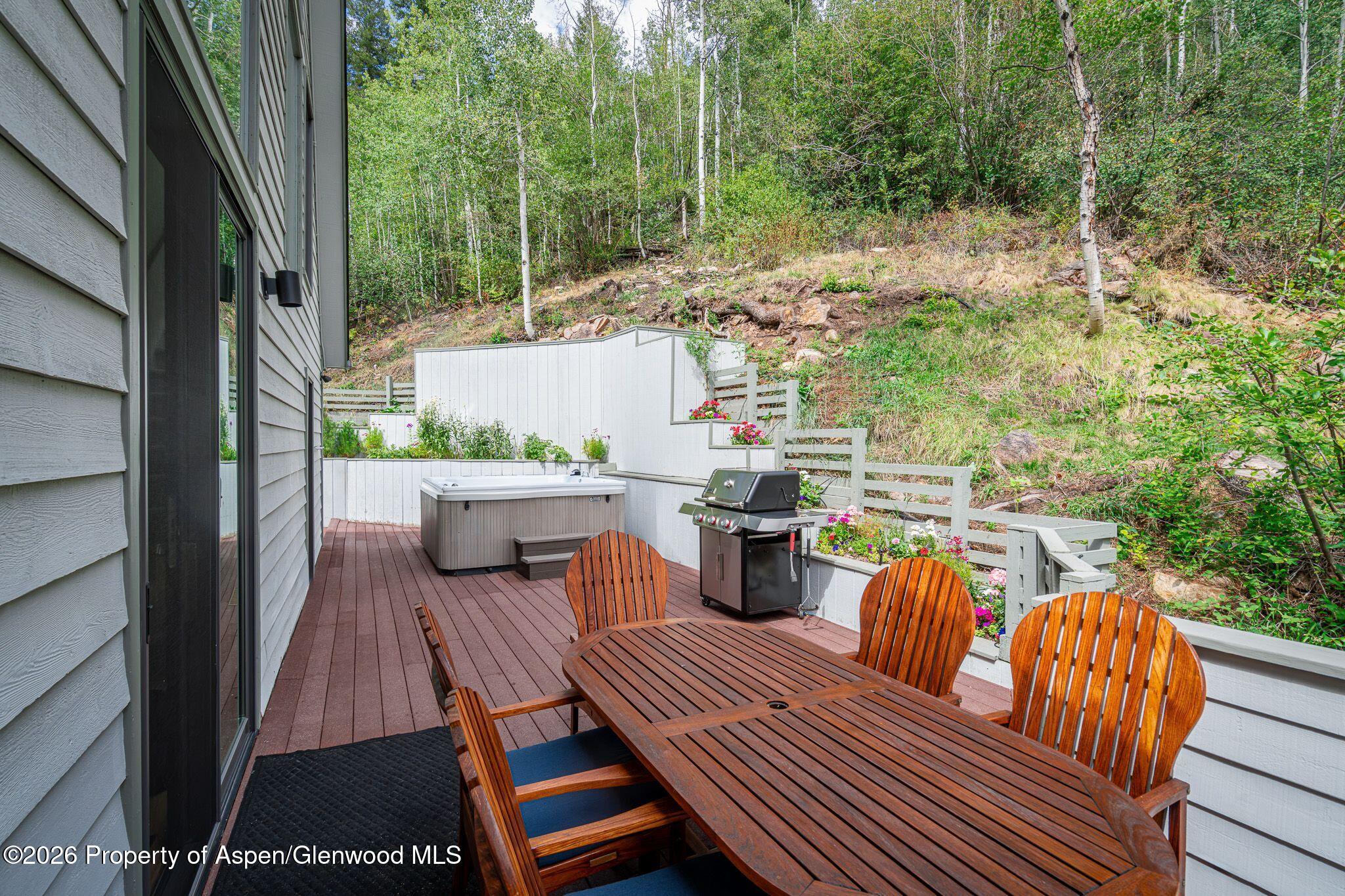 100 Mountain Laurel Court Aspen CO 81611