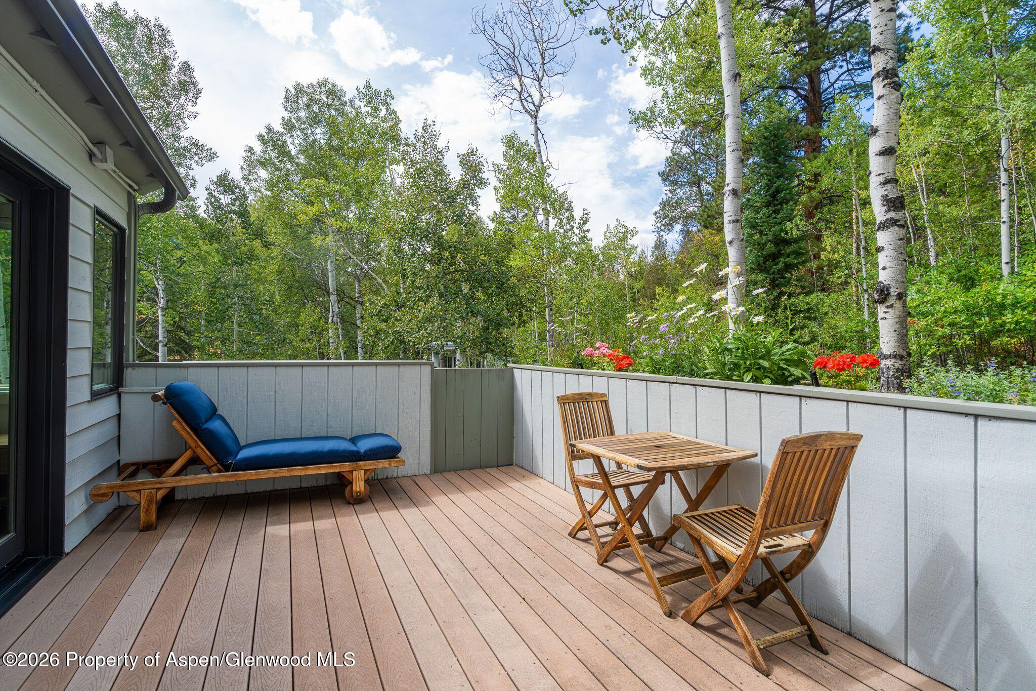100 Mountain Laurel Court Aspen CO 81611