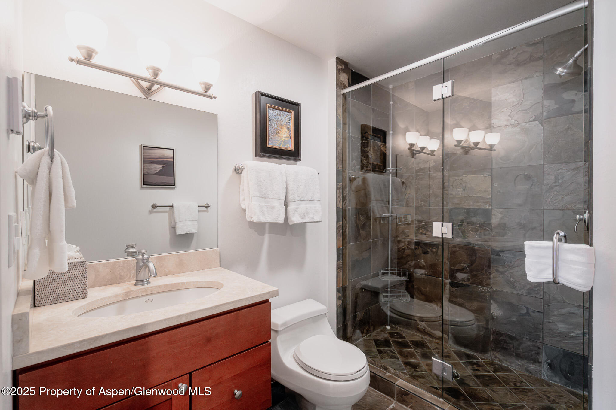 100 Mountain Laurel Court Aspen CO 81611