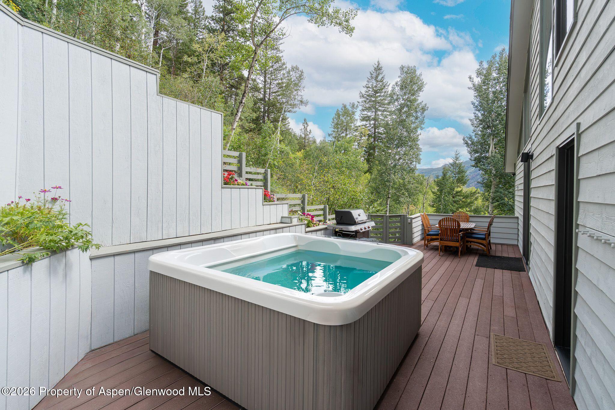 100 Mountain Laurel Court Aspen CO 81611