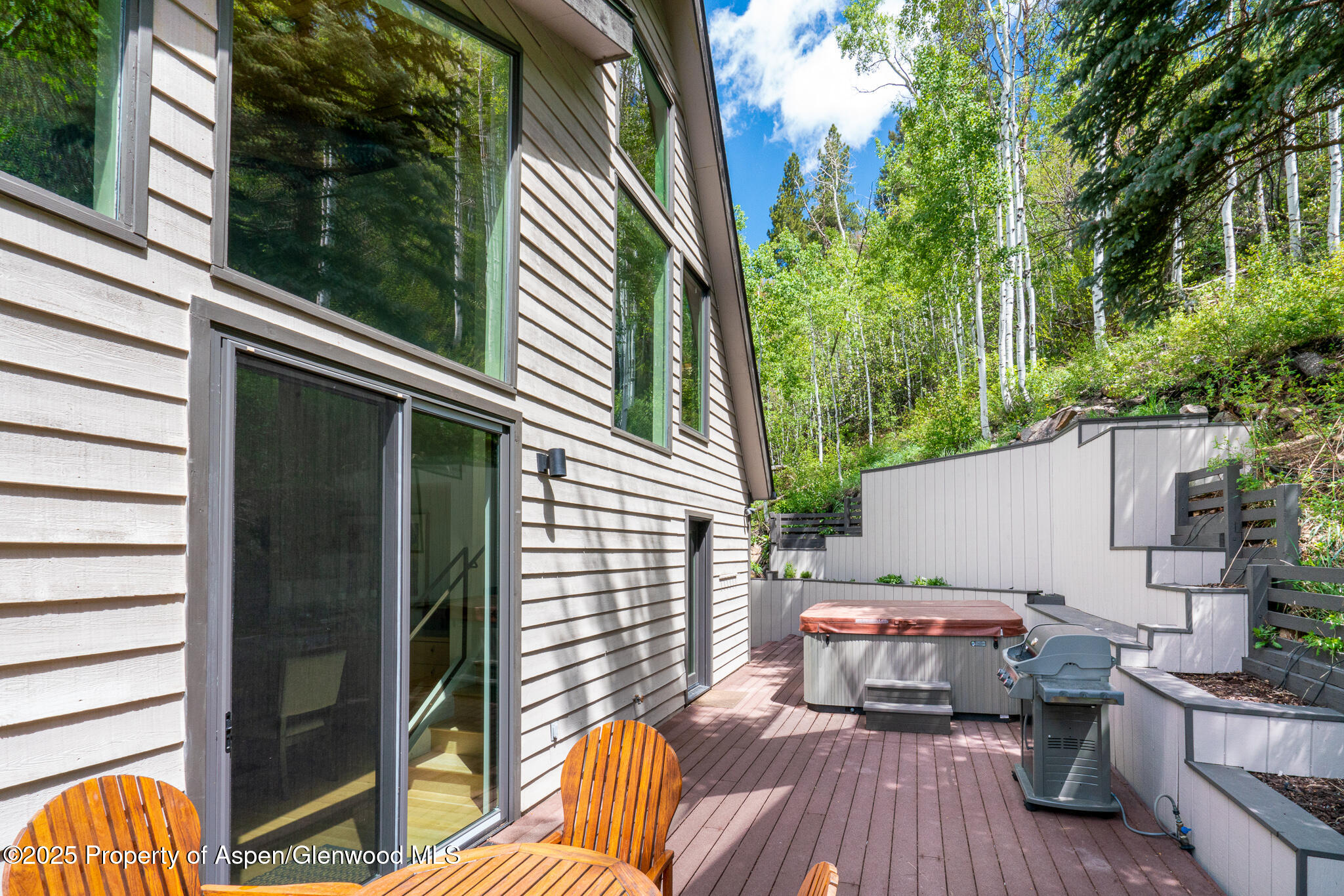 100 Mountain Laurel Court Aspen CO 81611