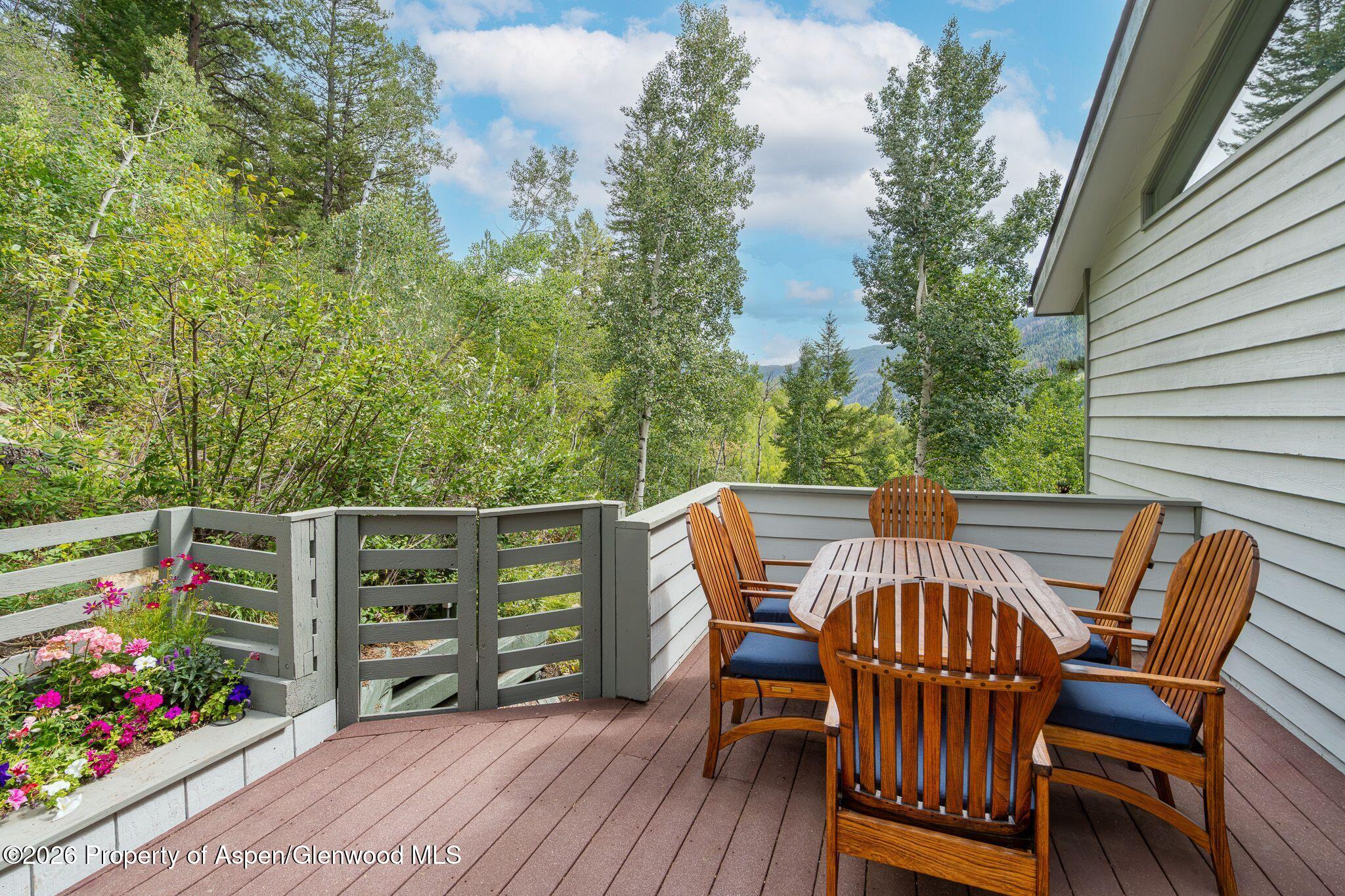 100 Mountain Laurel Court Aspen CO 81611