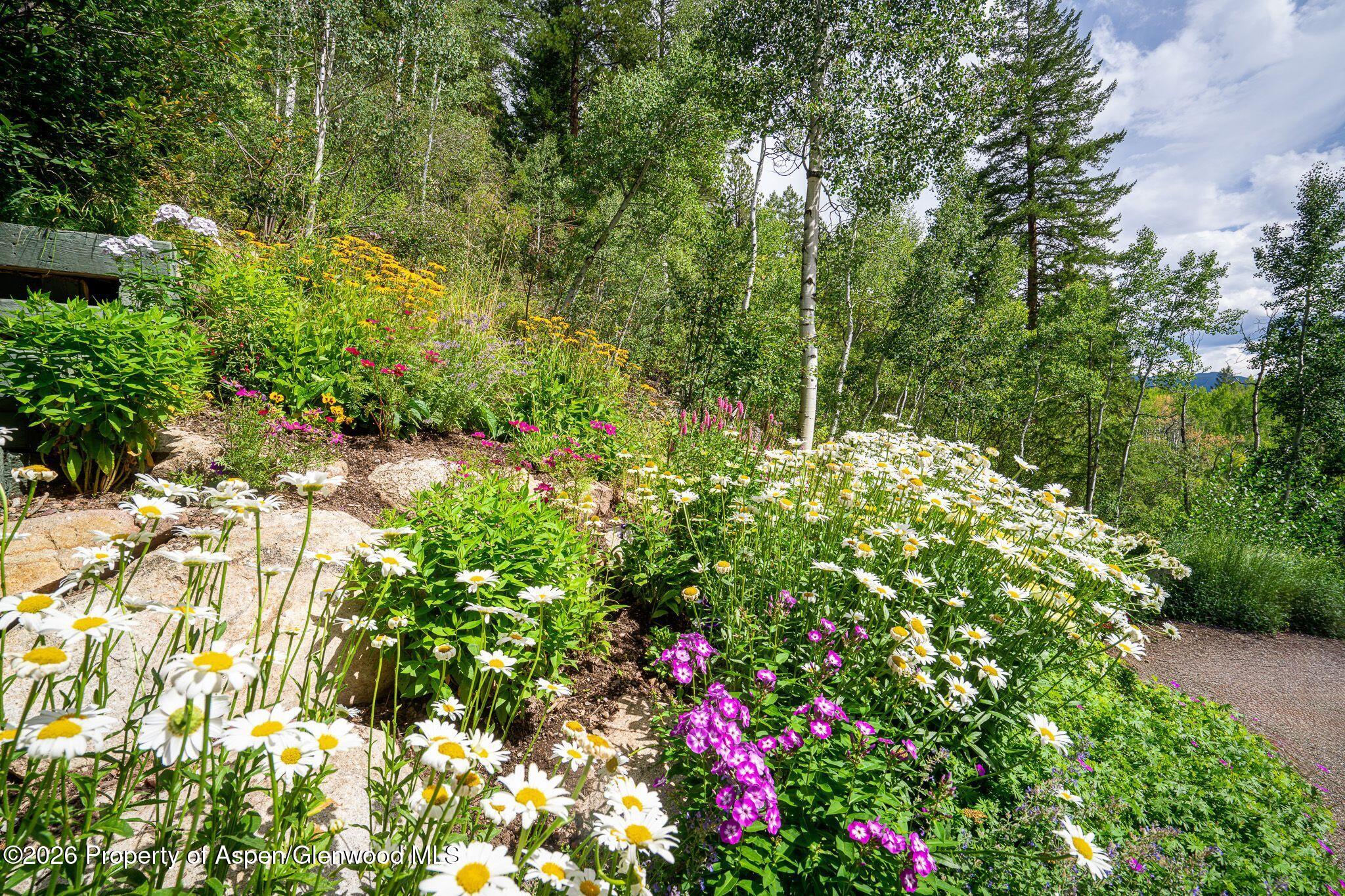 100 Mountain Laurel Court Aspen CO 81611