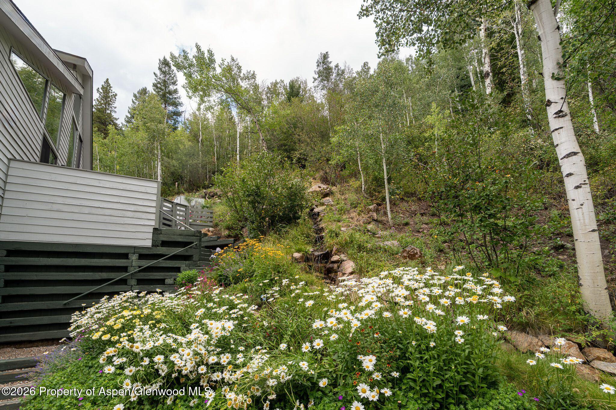 100 Mountain Laurel Court Aspen CO 81611