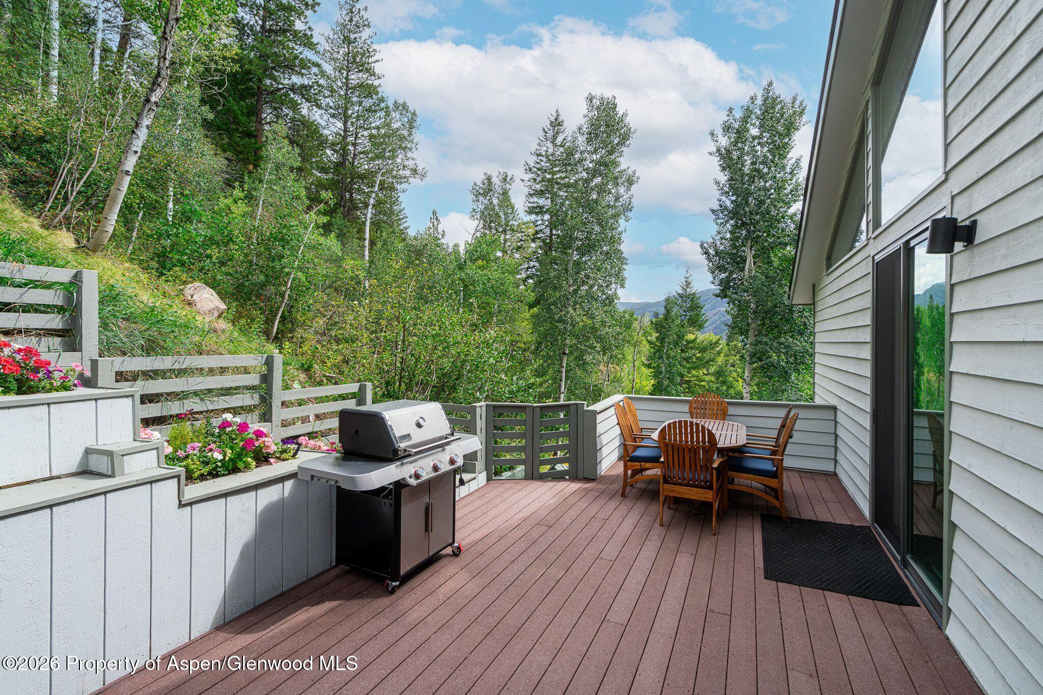 100 Mountain Laurel Court Aspen CO 81611