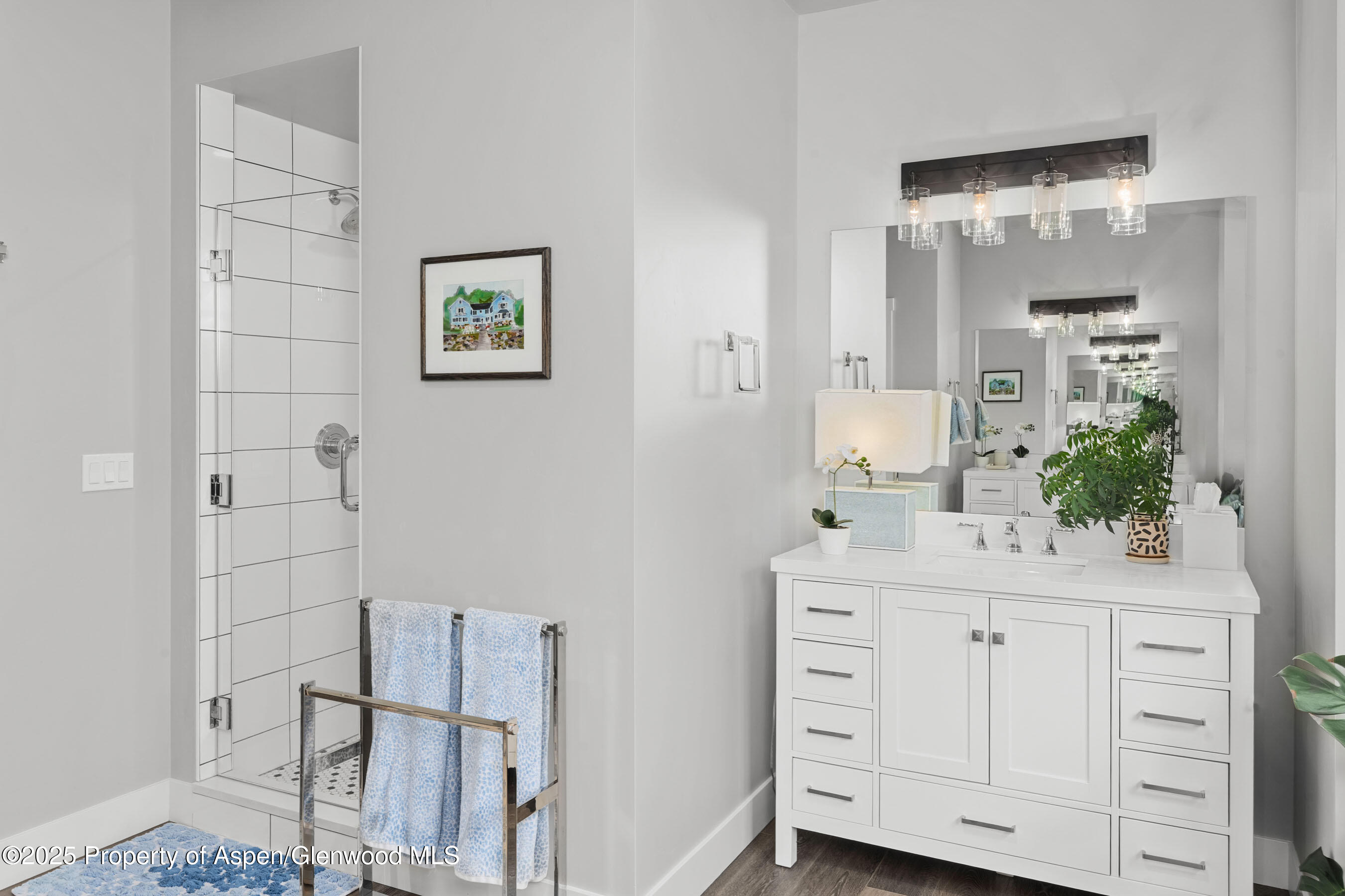 22 Equestrian Way Carbondale CO 81623