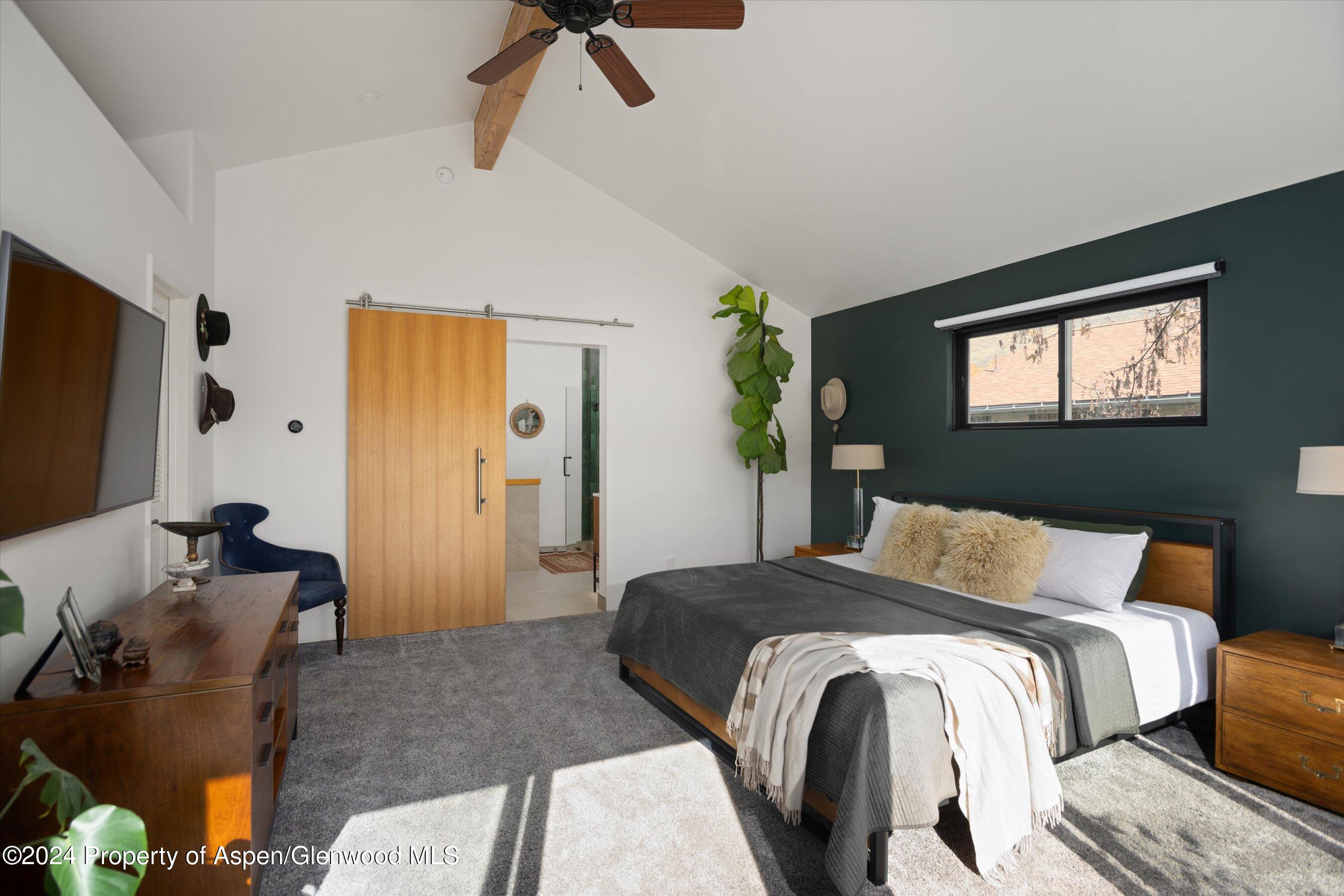 64 Hopi Carbondale CO 81623