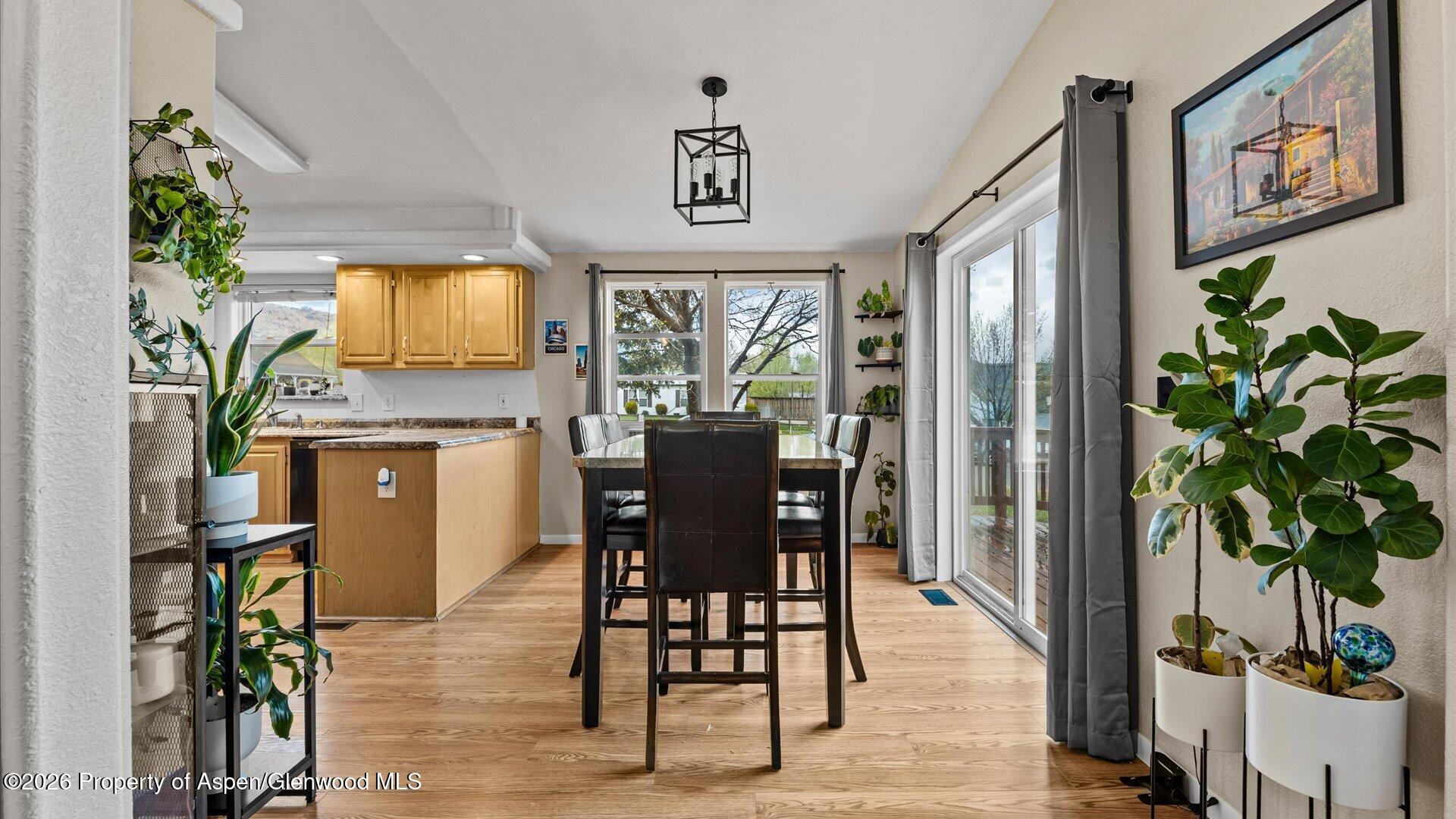 1917 Pickett Lane Silt CO 81652