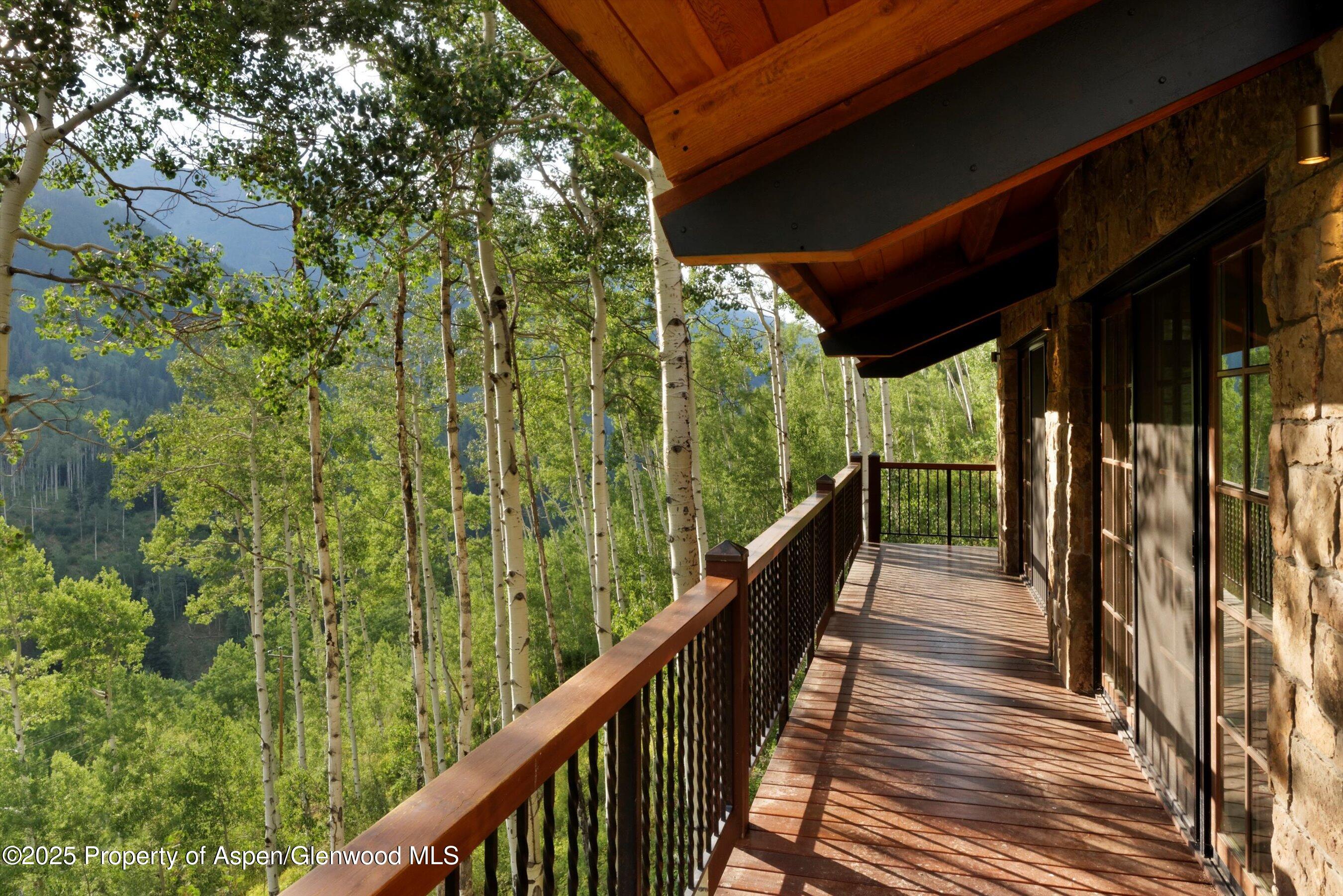 6770 Castle Creek Road Aspen CO 81611