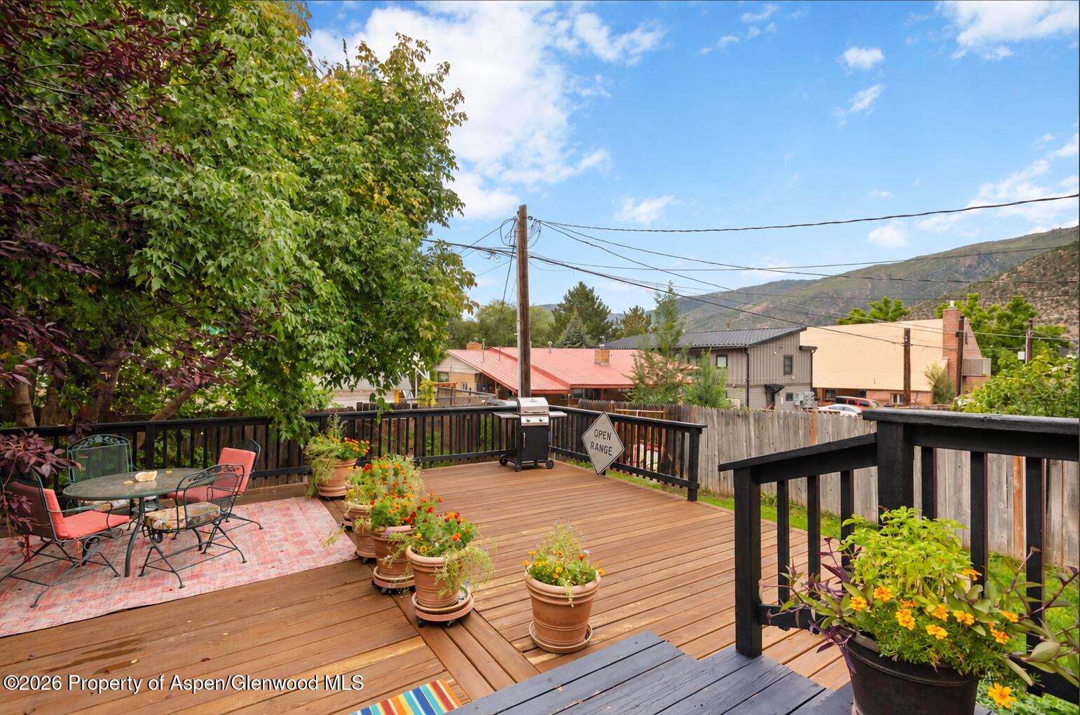 1017 Cooper Avenue Glenwood Springs CO 81601