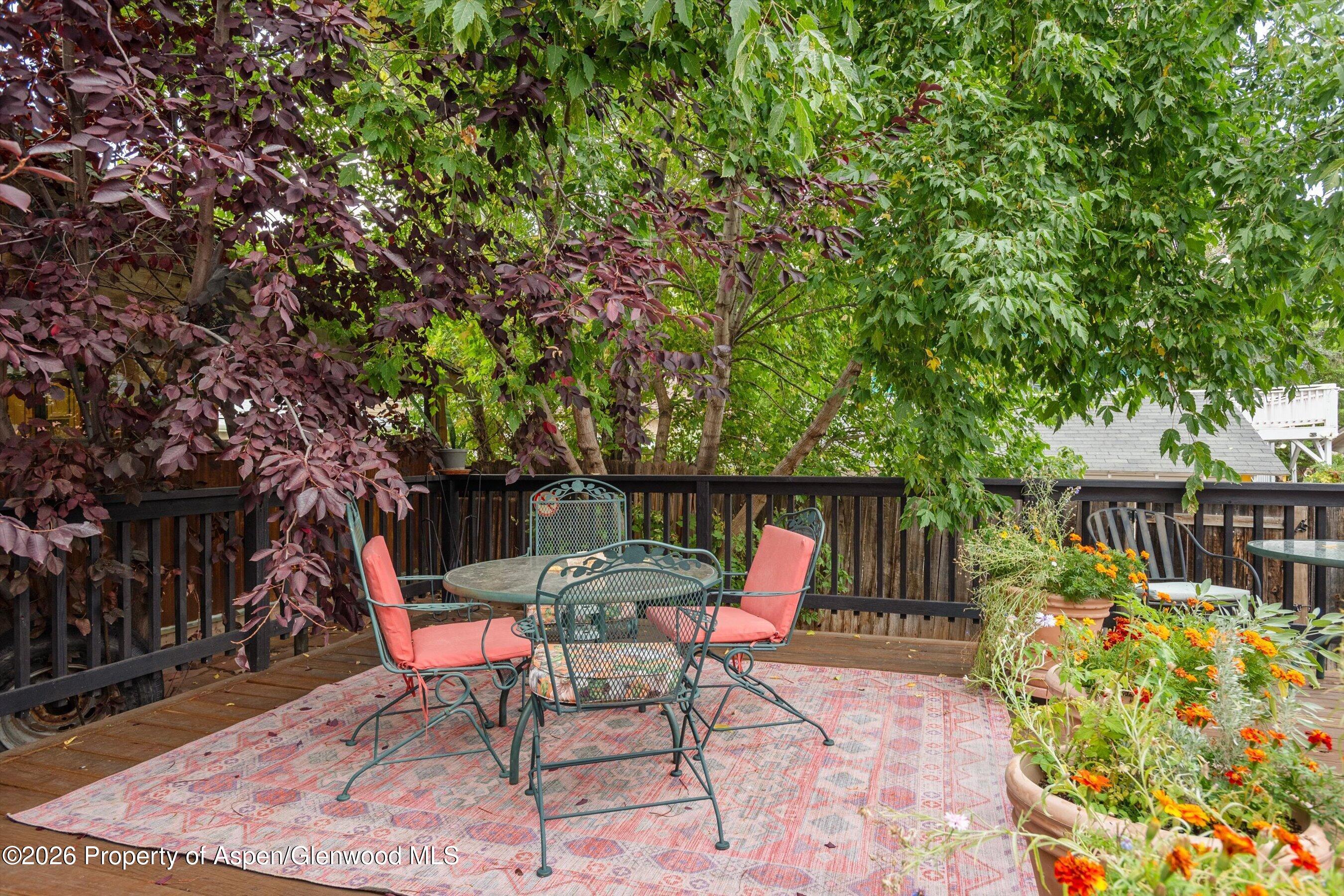 1017 Cooper Avenue Glenwood Springs CO 81601