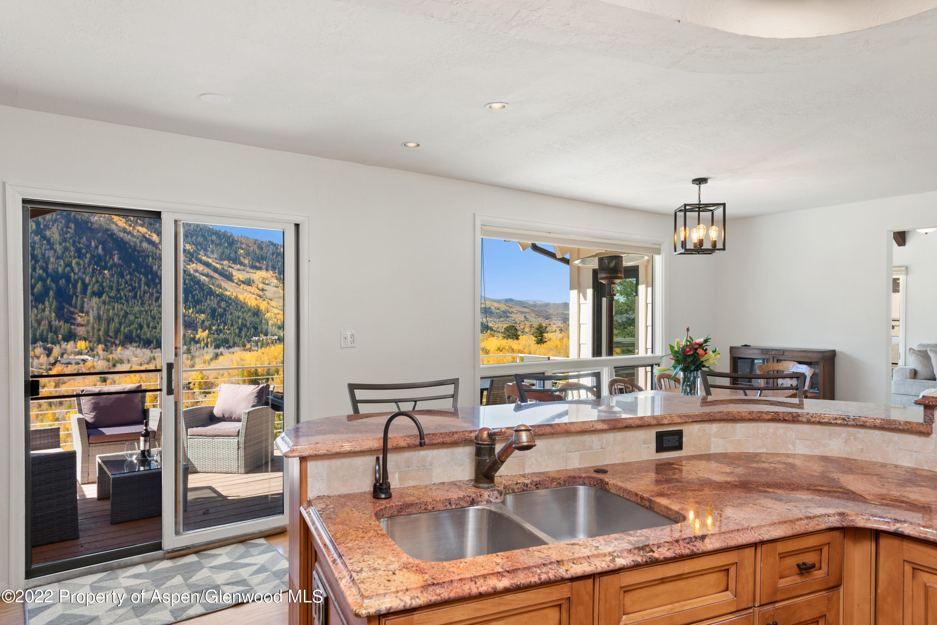 76 Mountain Laurel Lane Aspen CO 81611