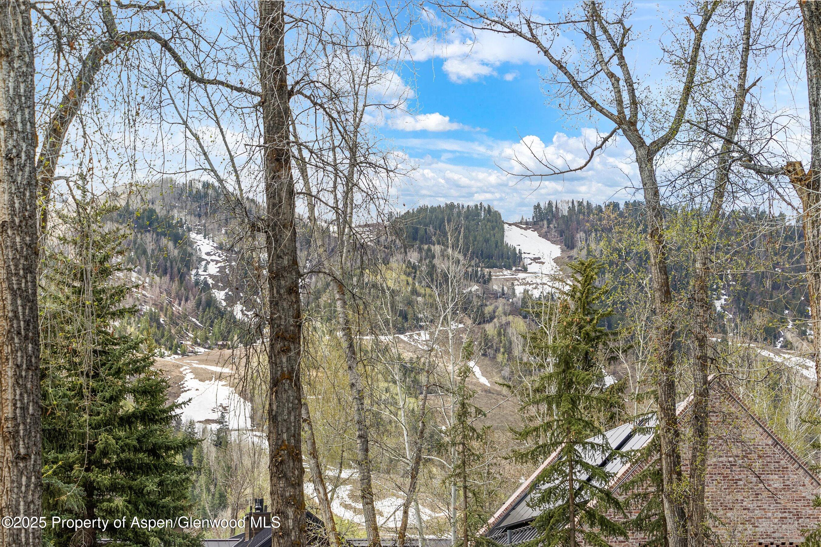 132 Maple Lane Aspen CO 81611
