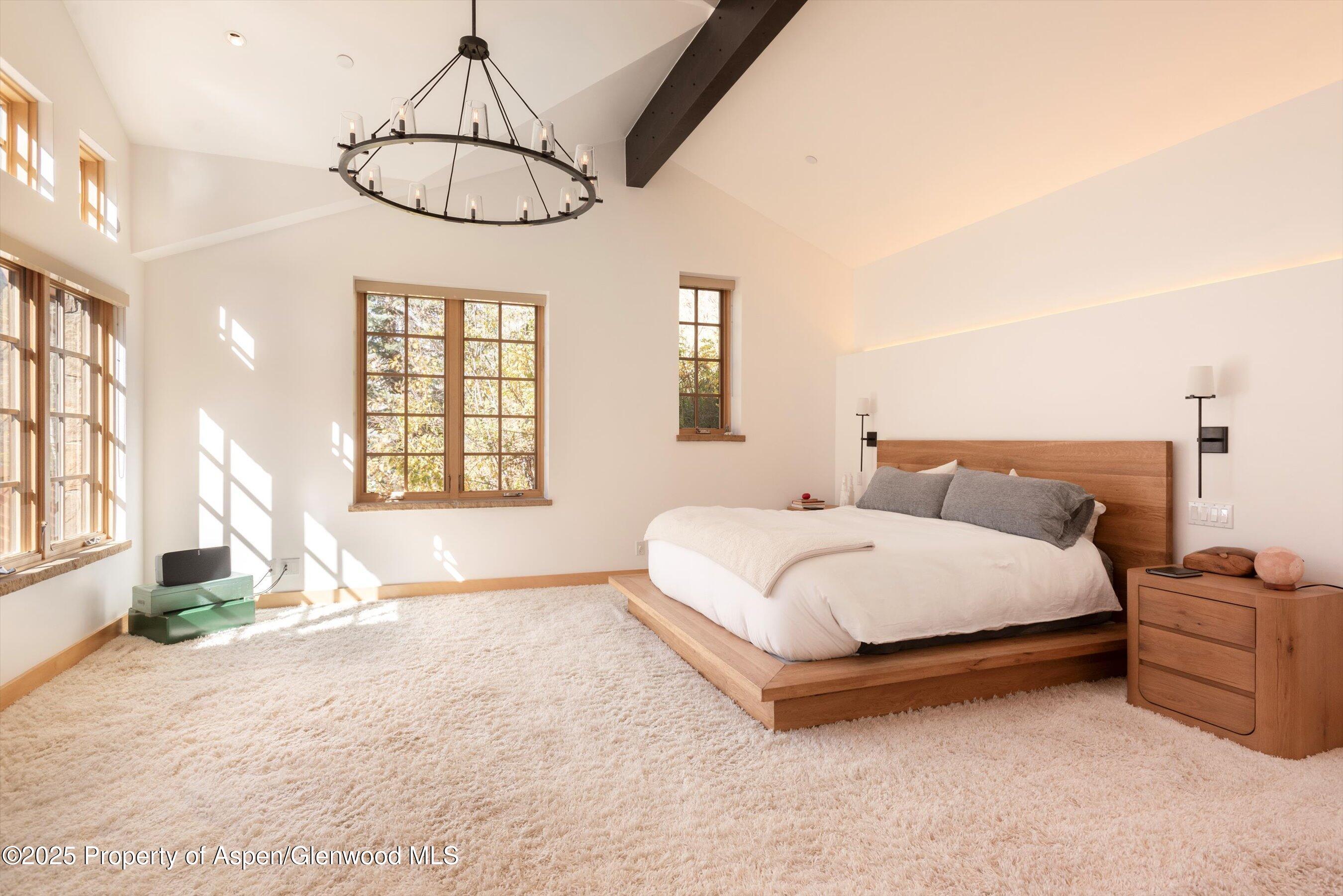 6770 Castle Creek Road Aspen CO 81611