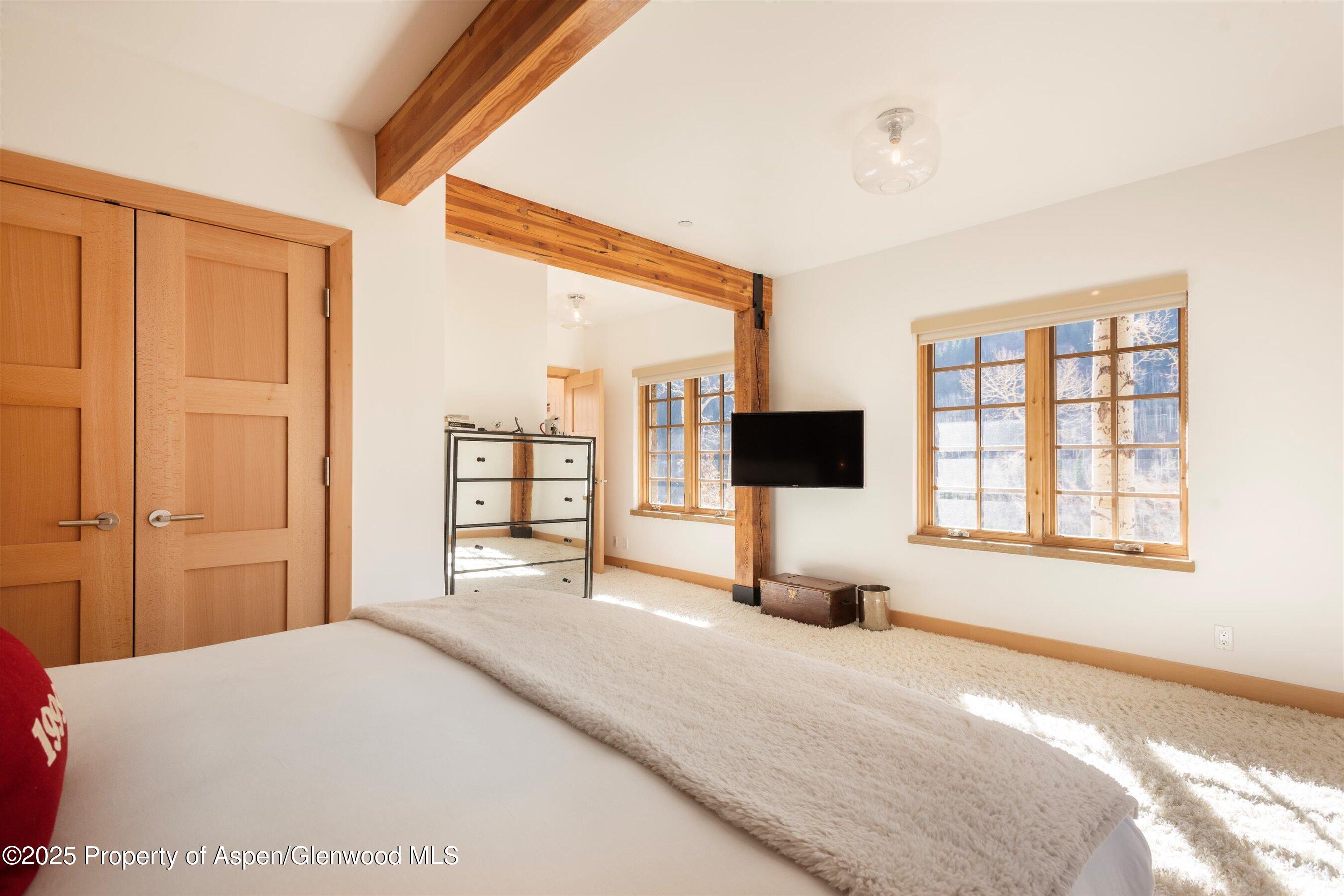 6770 Castle Creek Road Aspen CO 81611