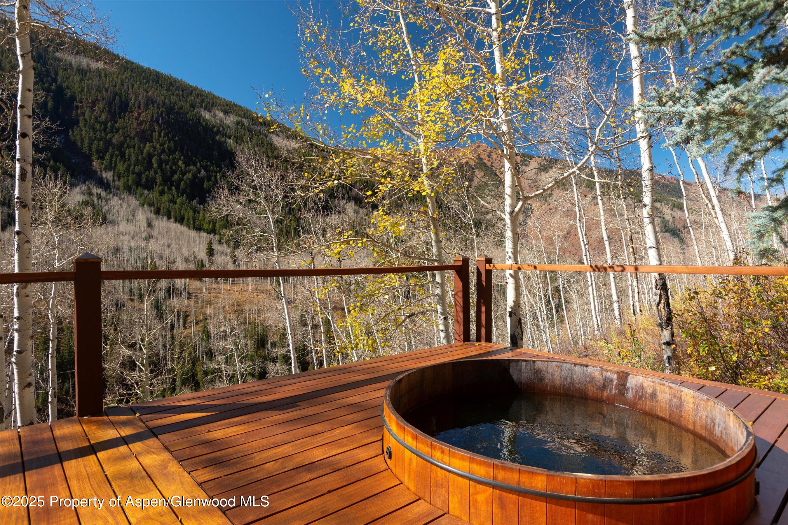 6770 Castle Creek Road Aspen CO 81611