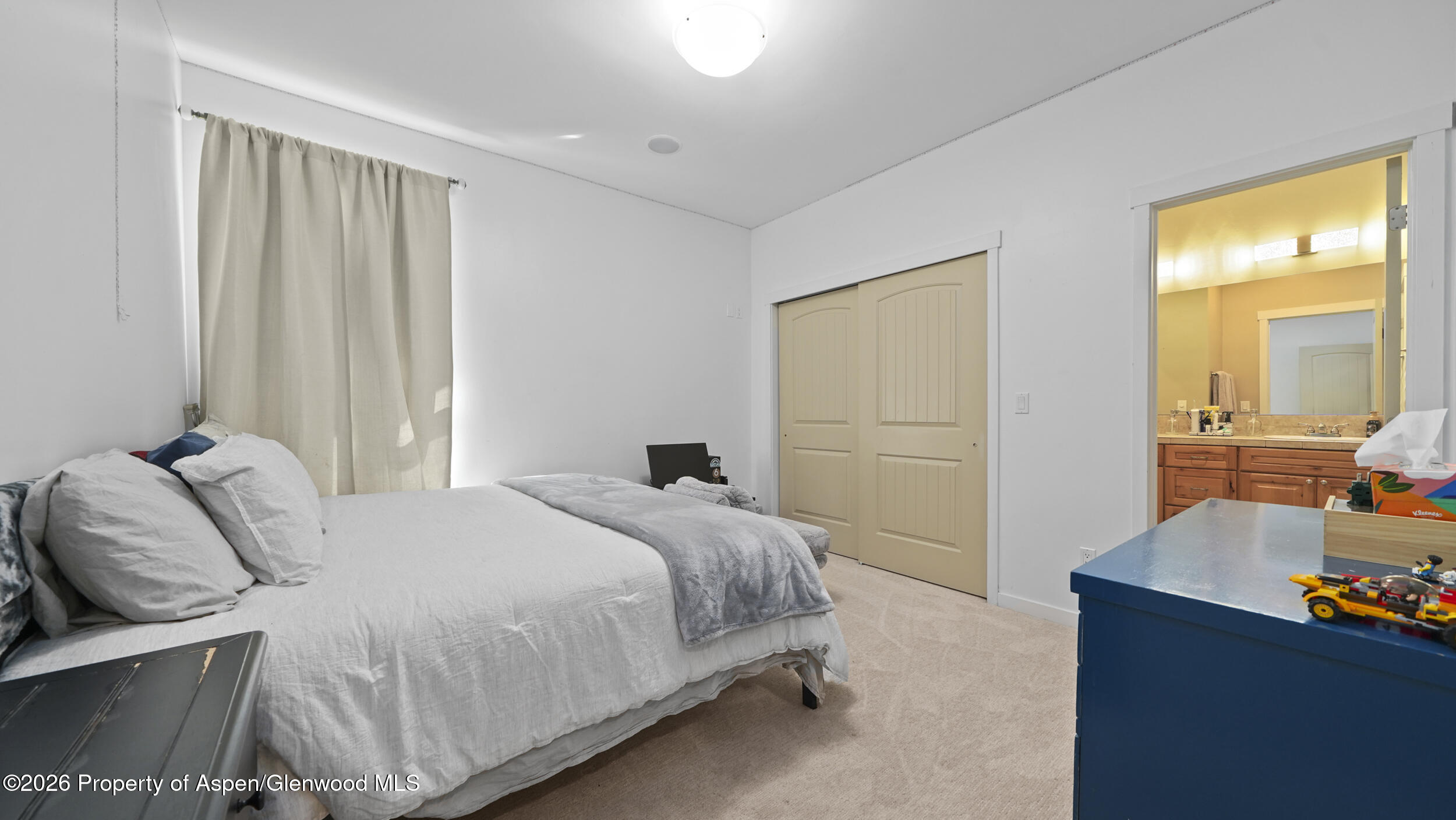 302 Silver Mountain Drive Glenwood Springs CO 81601