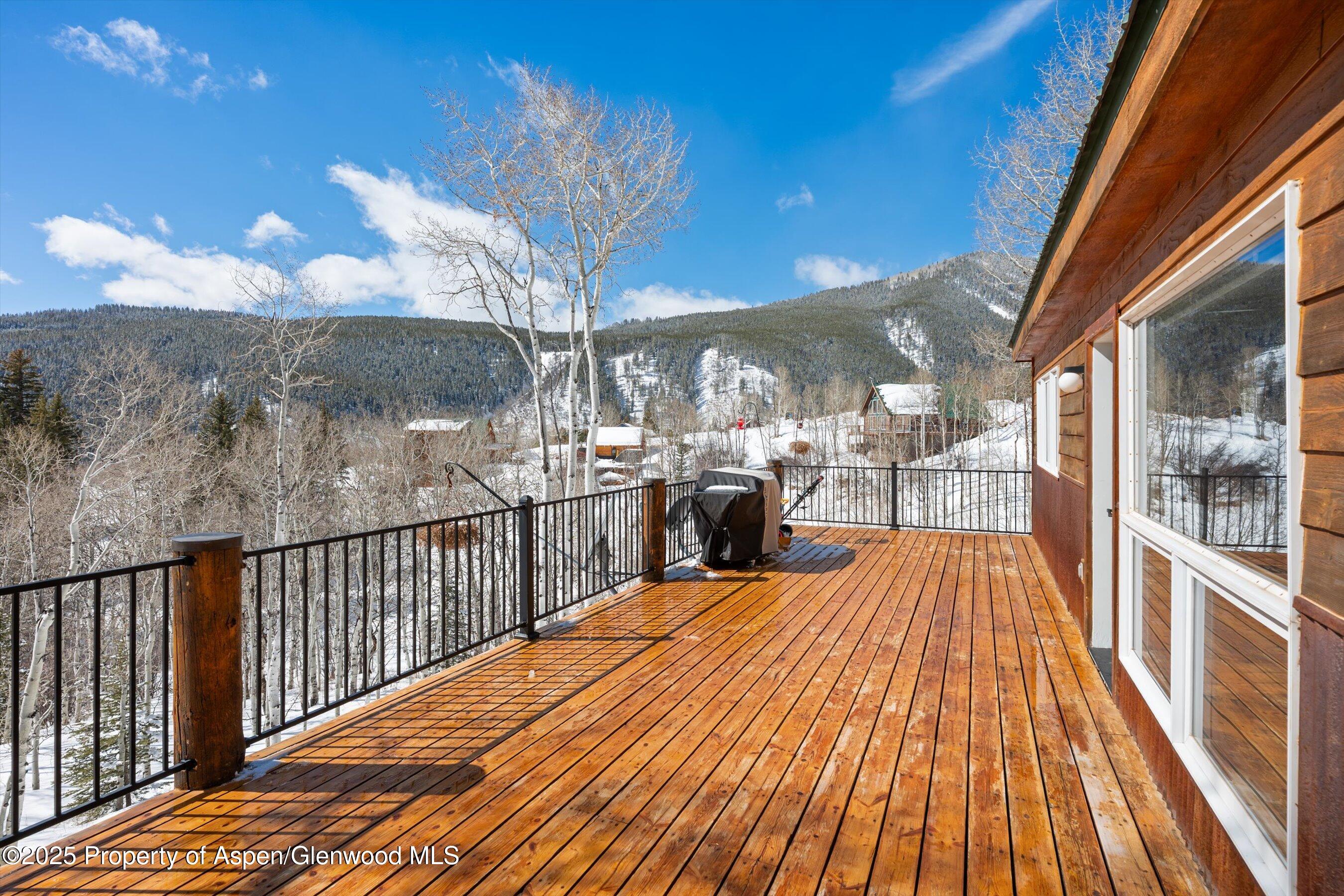 238 Hawk Lane Basalt CO 81621