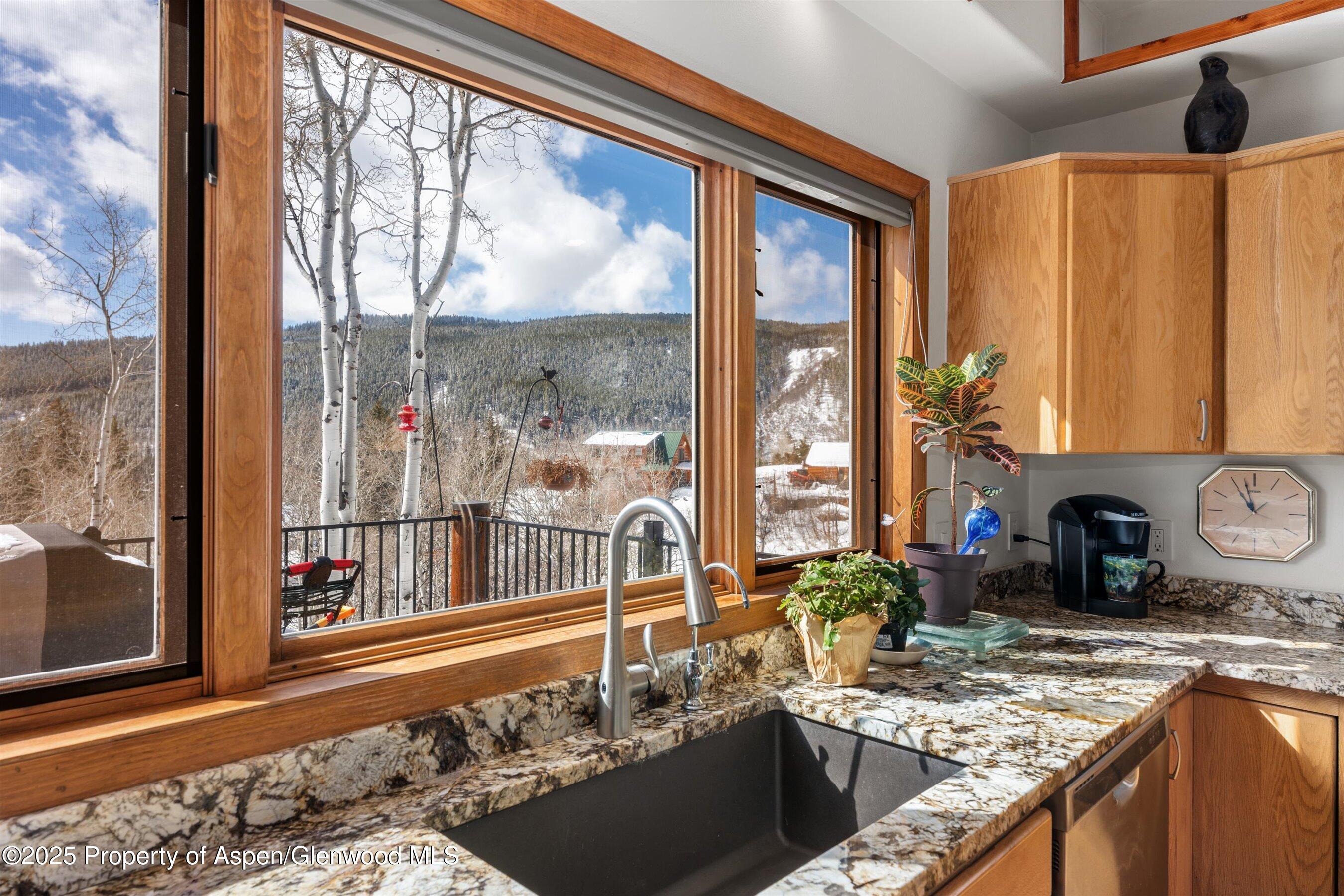 238 Hawk Lane Basalt CO 81621