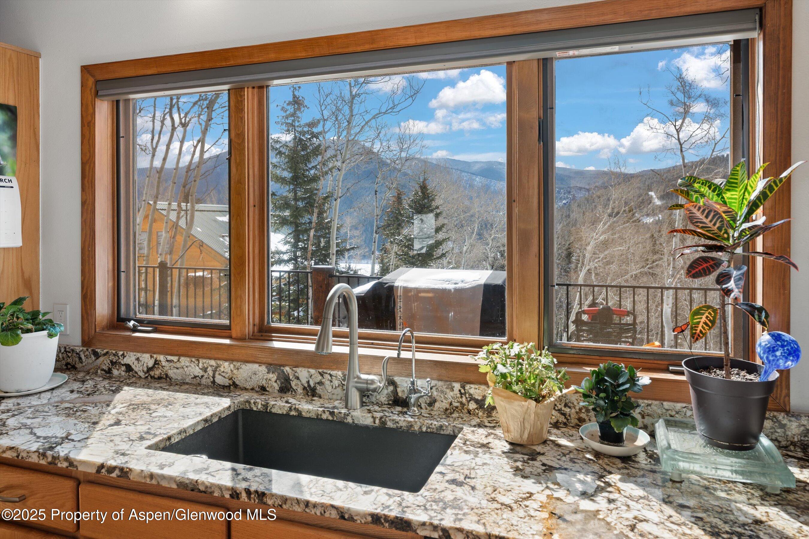 238 Hawk Lane Basalt CO 81621