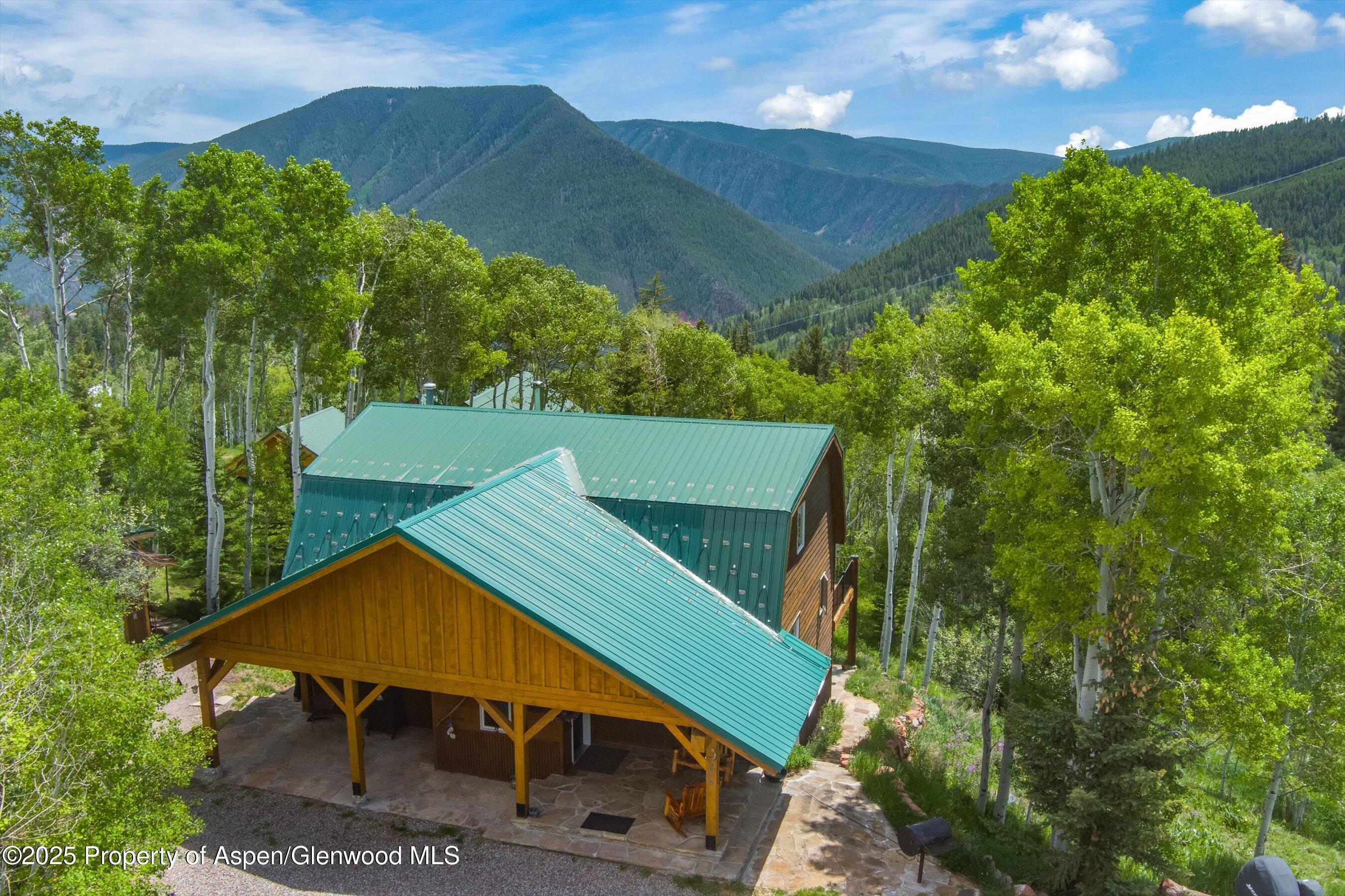 238 Hawk Lane Basalt CO 81621