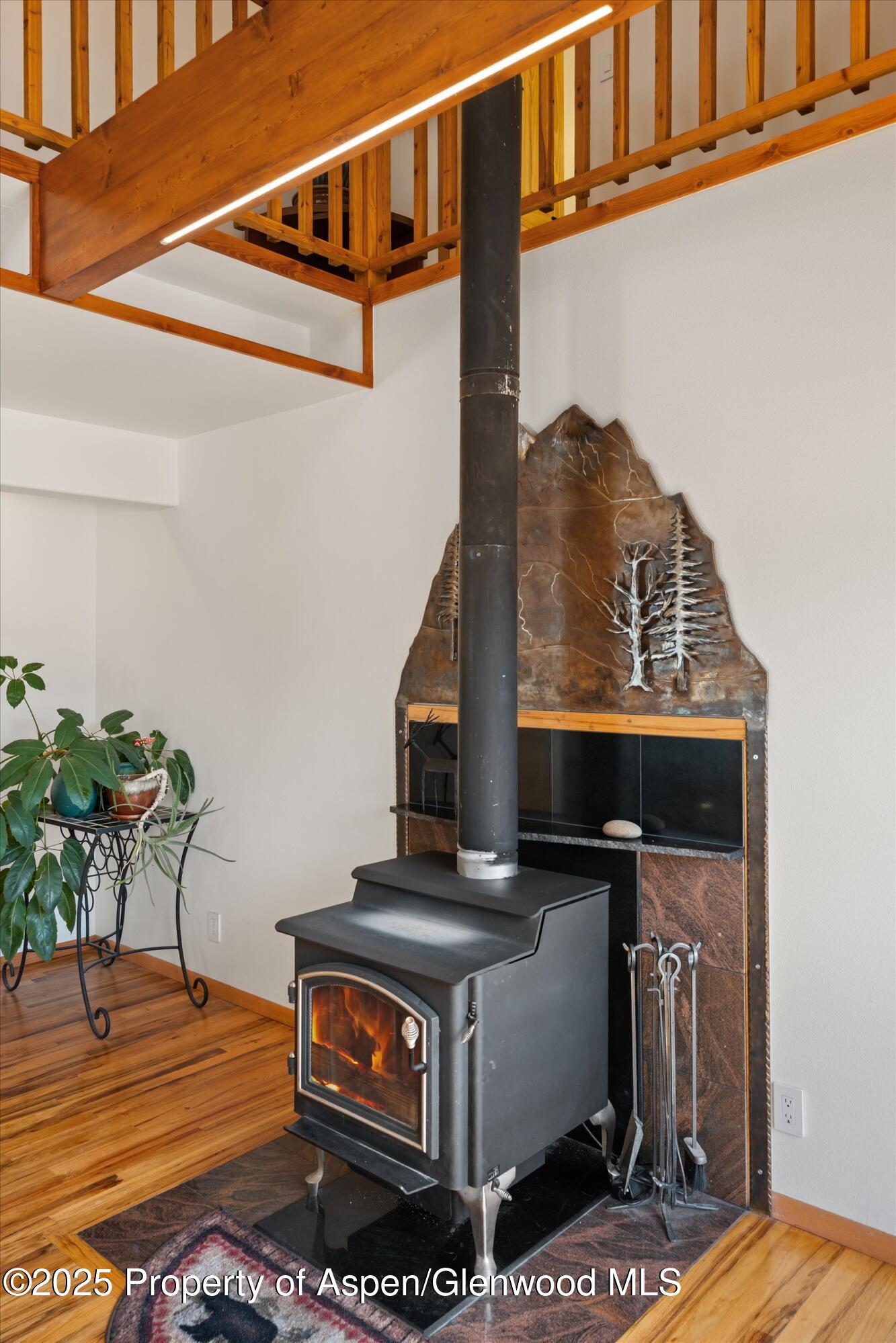 238 Hawk Lane Basalt CO 81621