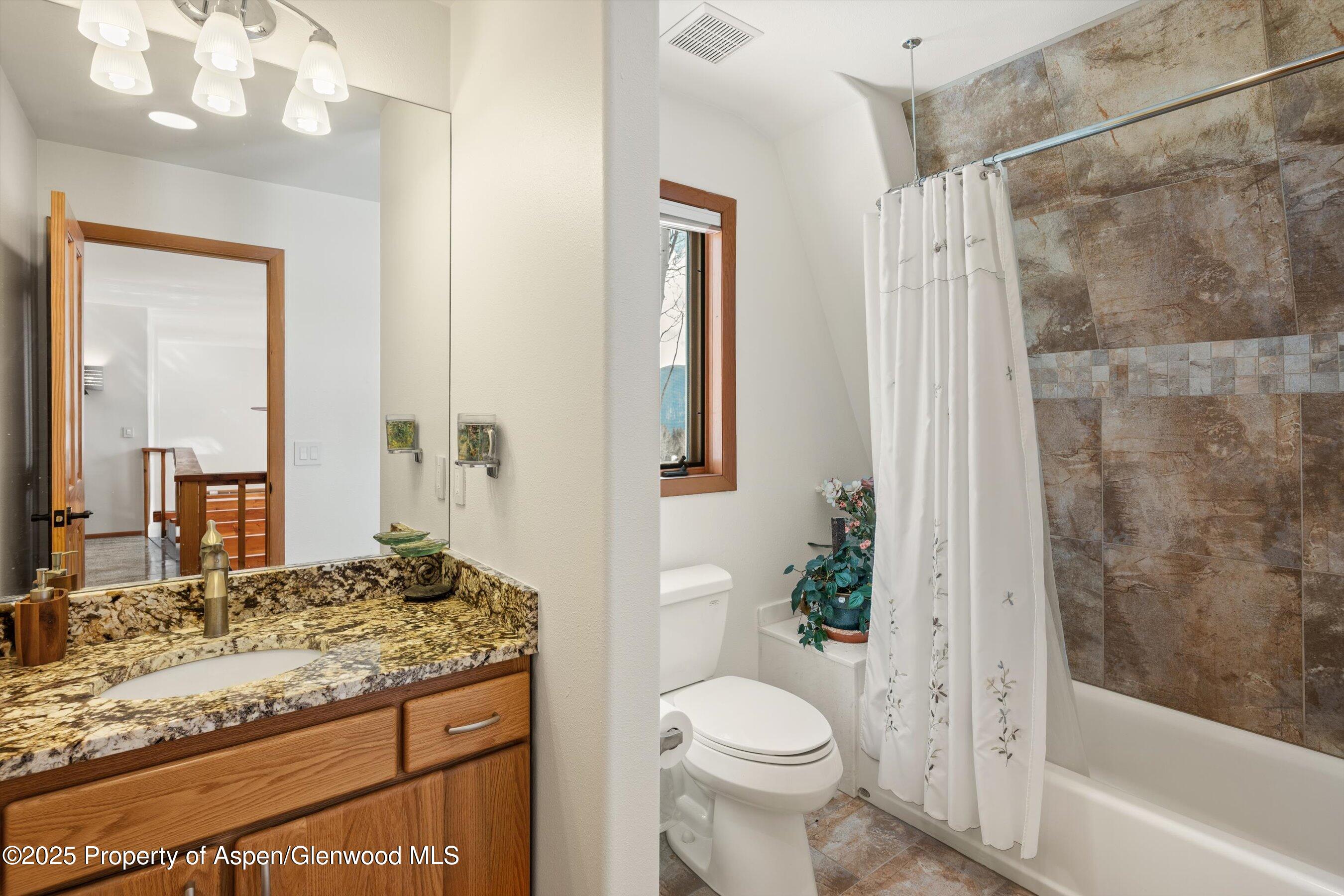 238 Hawk Lane Basalt CO 81621