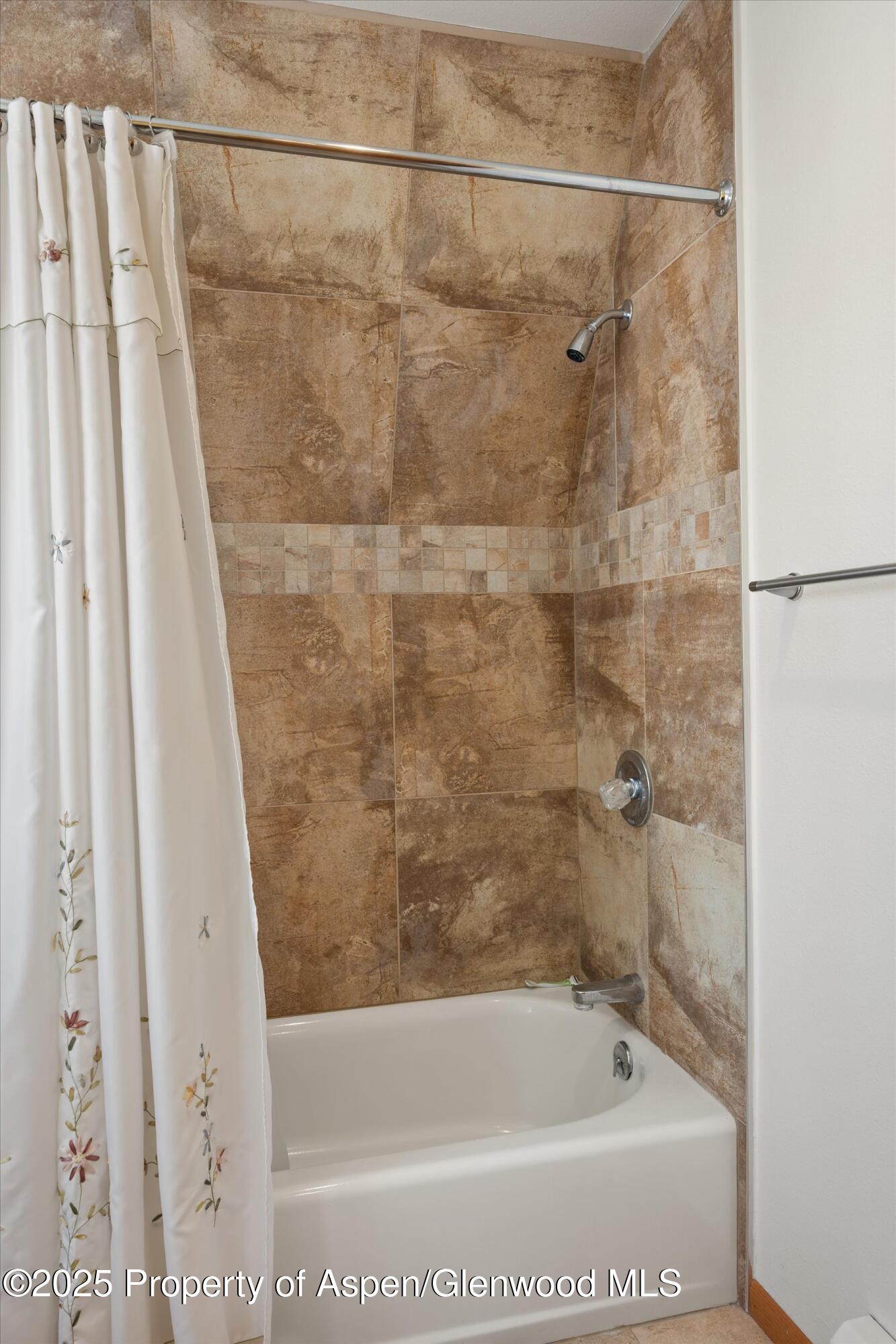 238 Hawk Lane Basalt CO 81621