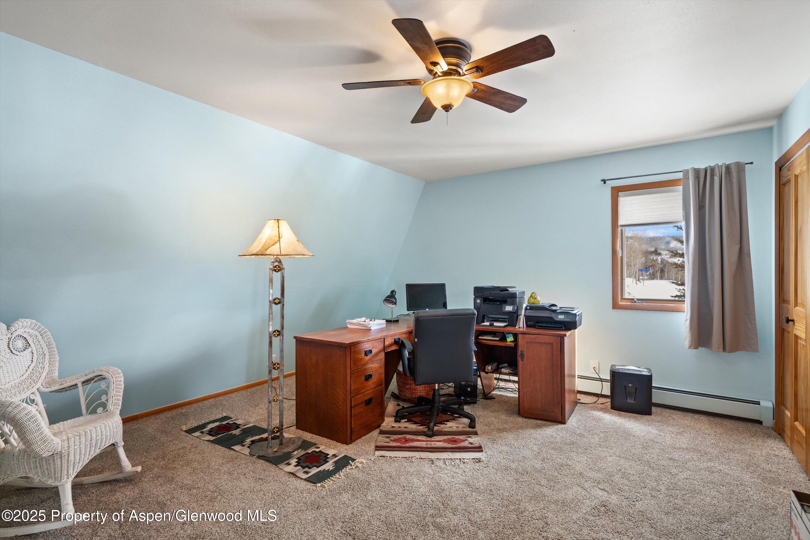 238 Hawk Lane Basalt CO 81621