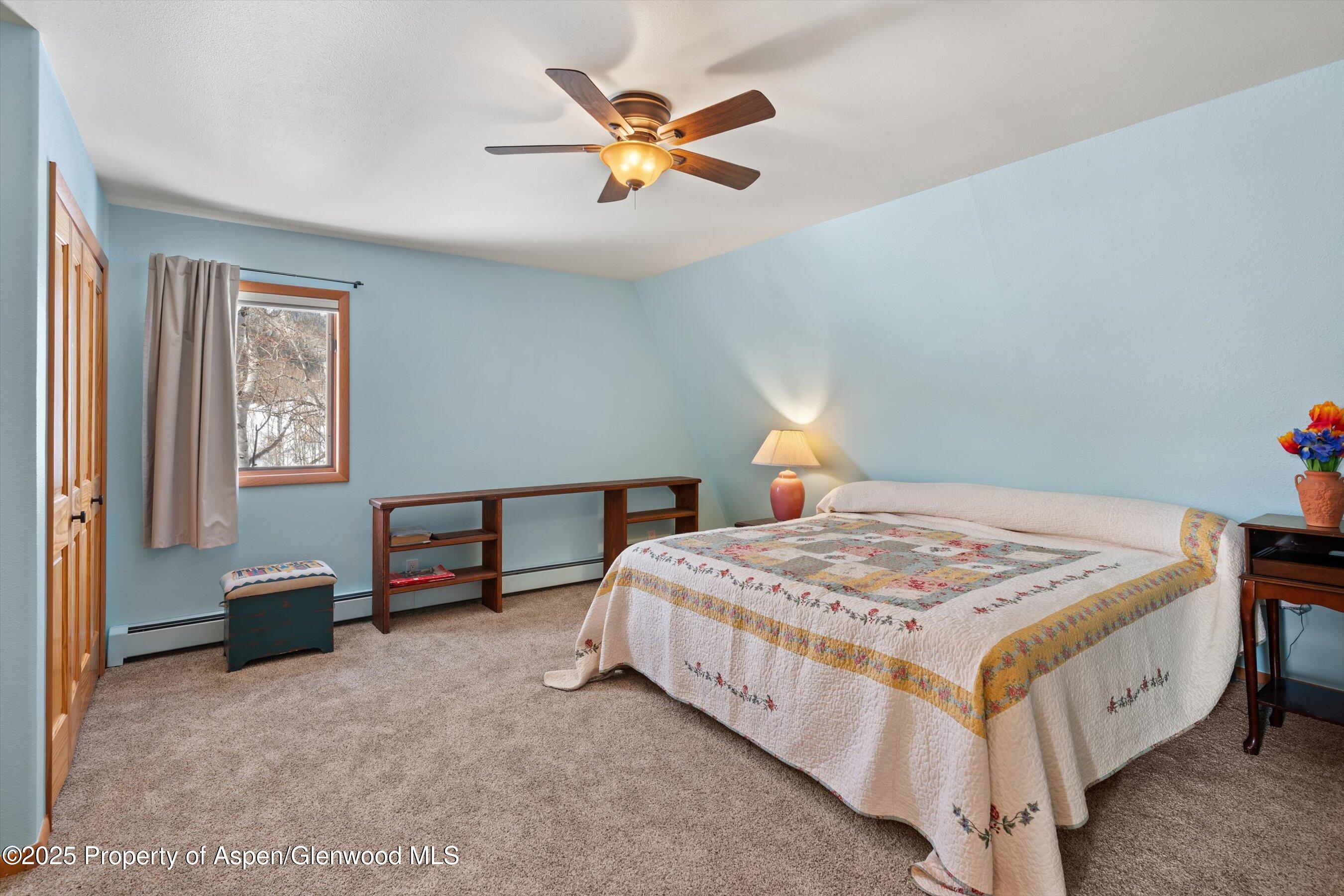 238 Hawk Lane Basalt CO 81621