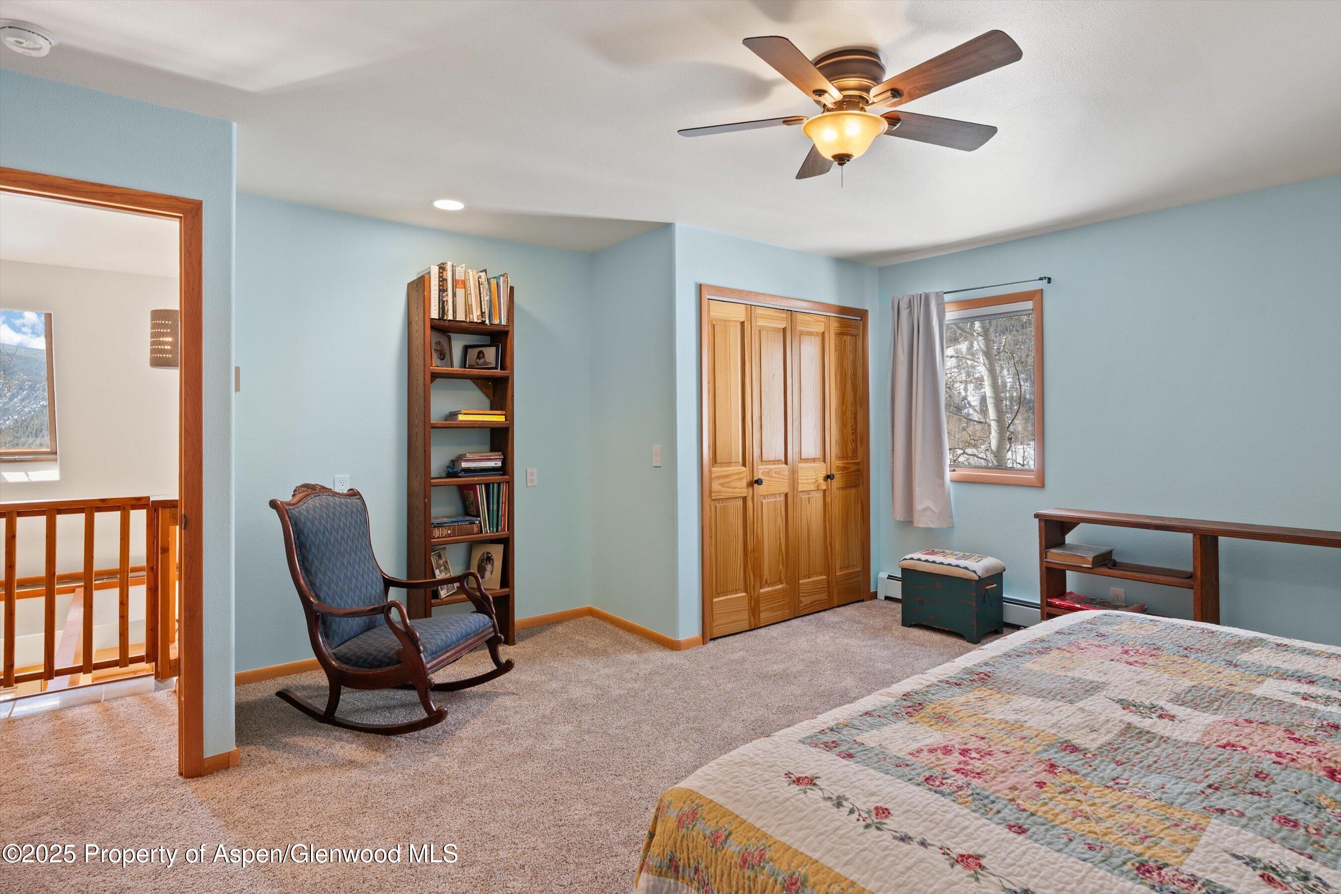 238 Hawk Lane Basalt CO 81621