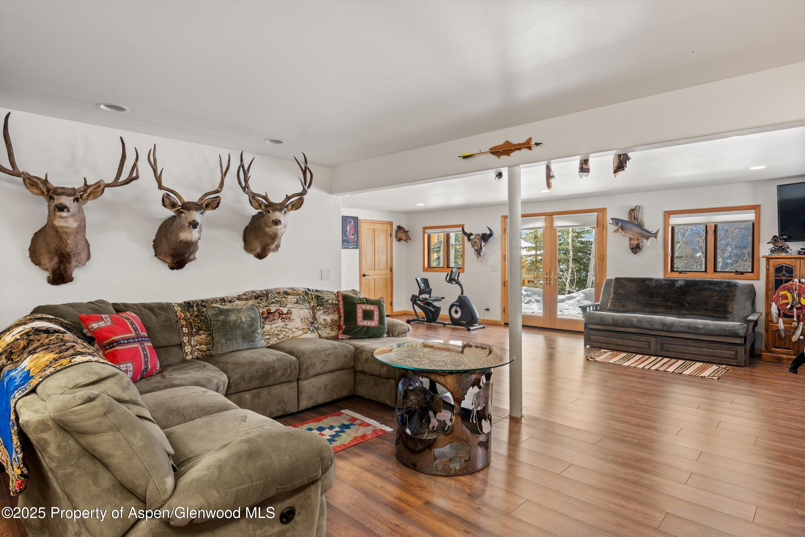 238 Hawk Lane Basalt CO 81621