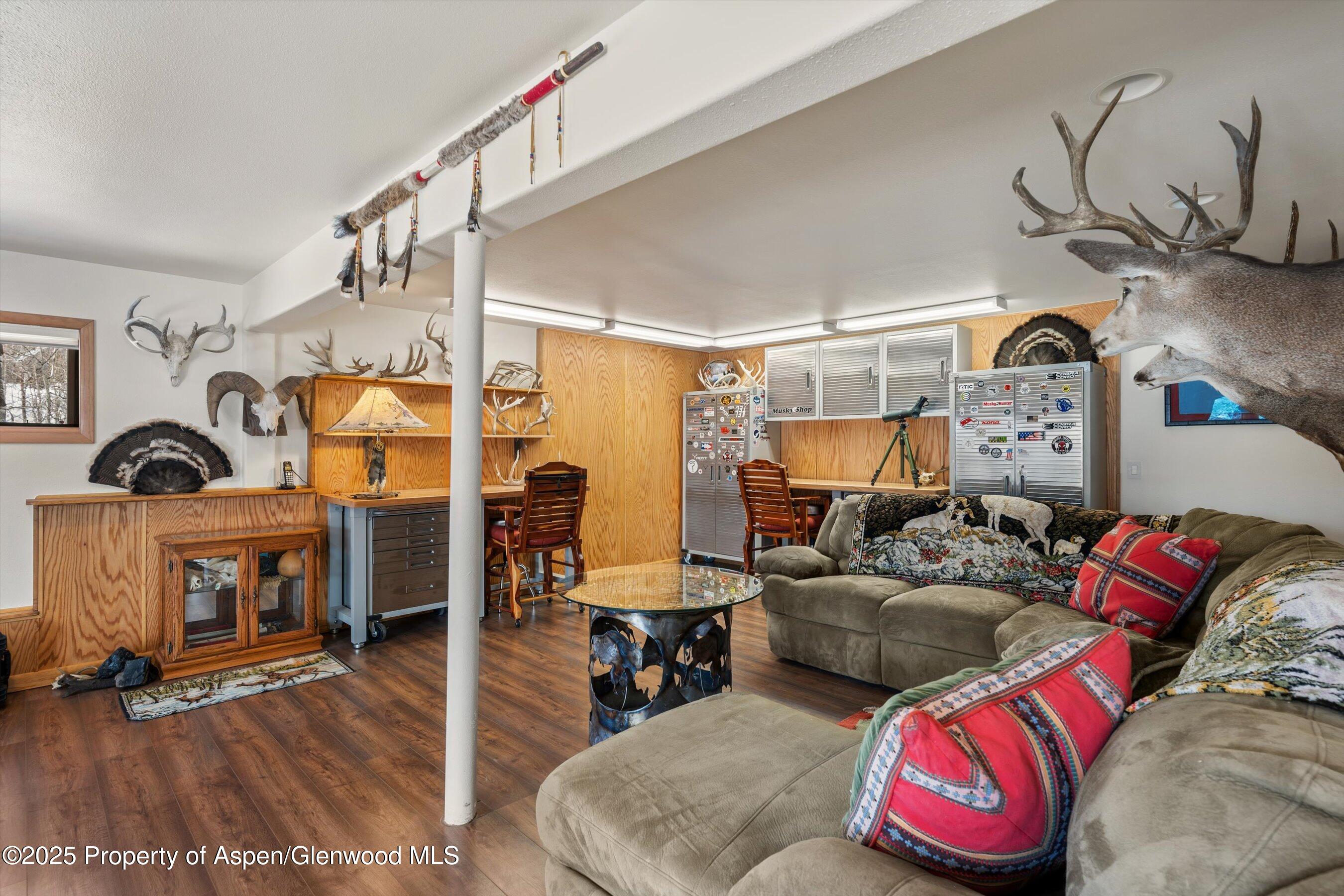 238 Hawk Lane Basalt CO 81621