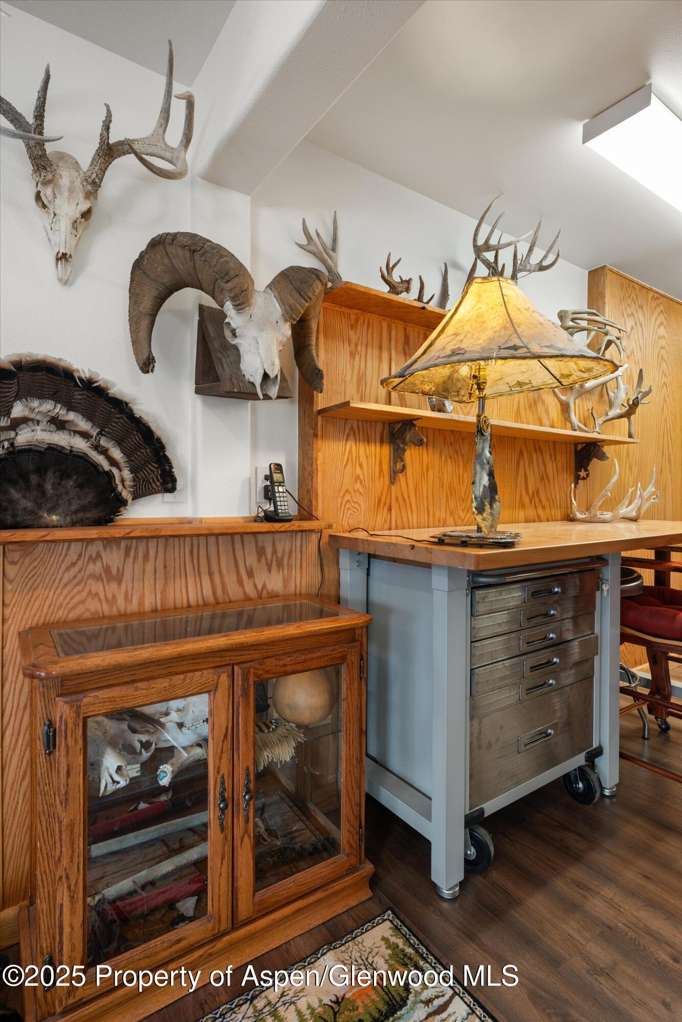 238 Hawk Lane Basalt CO 81621