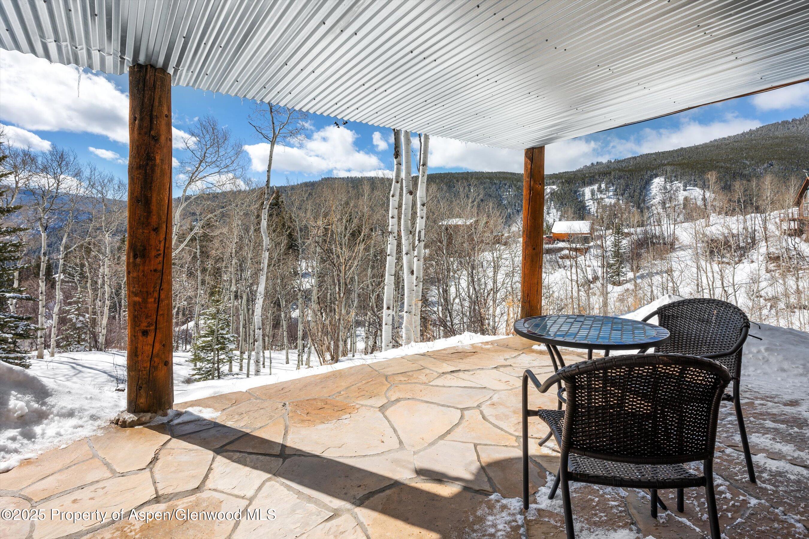 238 Hawk Lane Basalt CO 81621