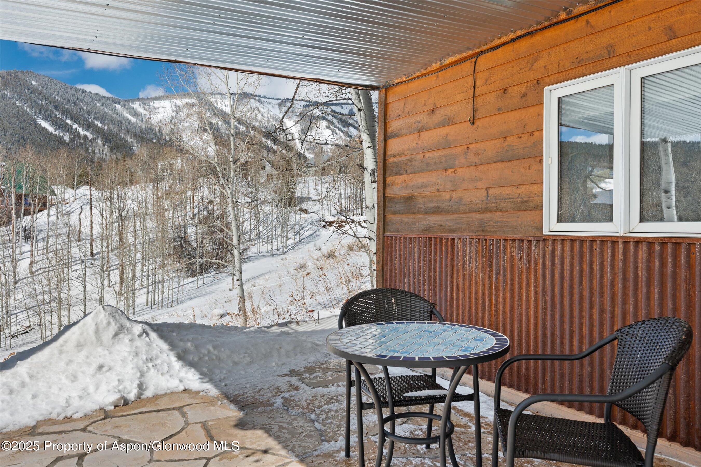 238 Hawk Lane Basalt CO 81621