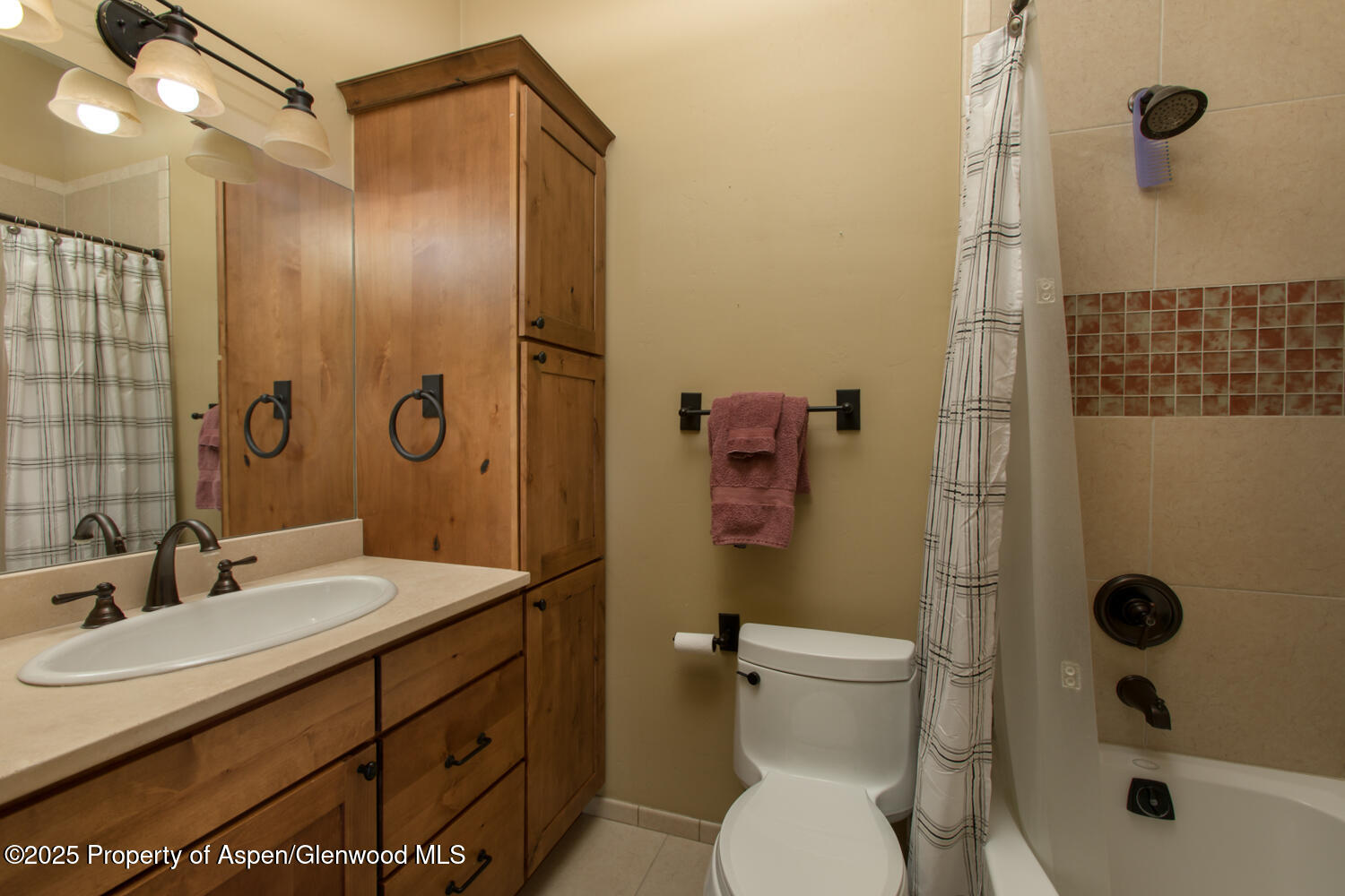1204 Huebinger Drive Glenwood Springs CO 81601