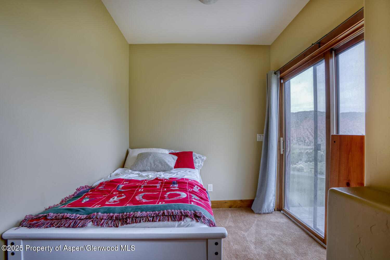 1204 Huebinger Drive Glenwood Springs CO 81601