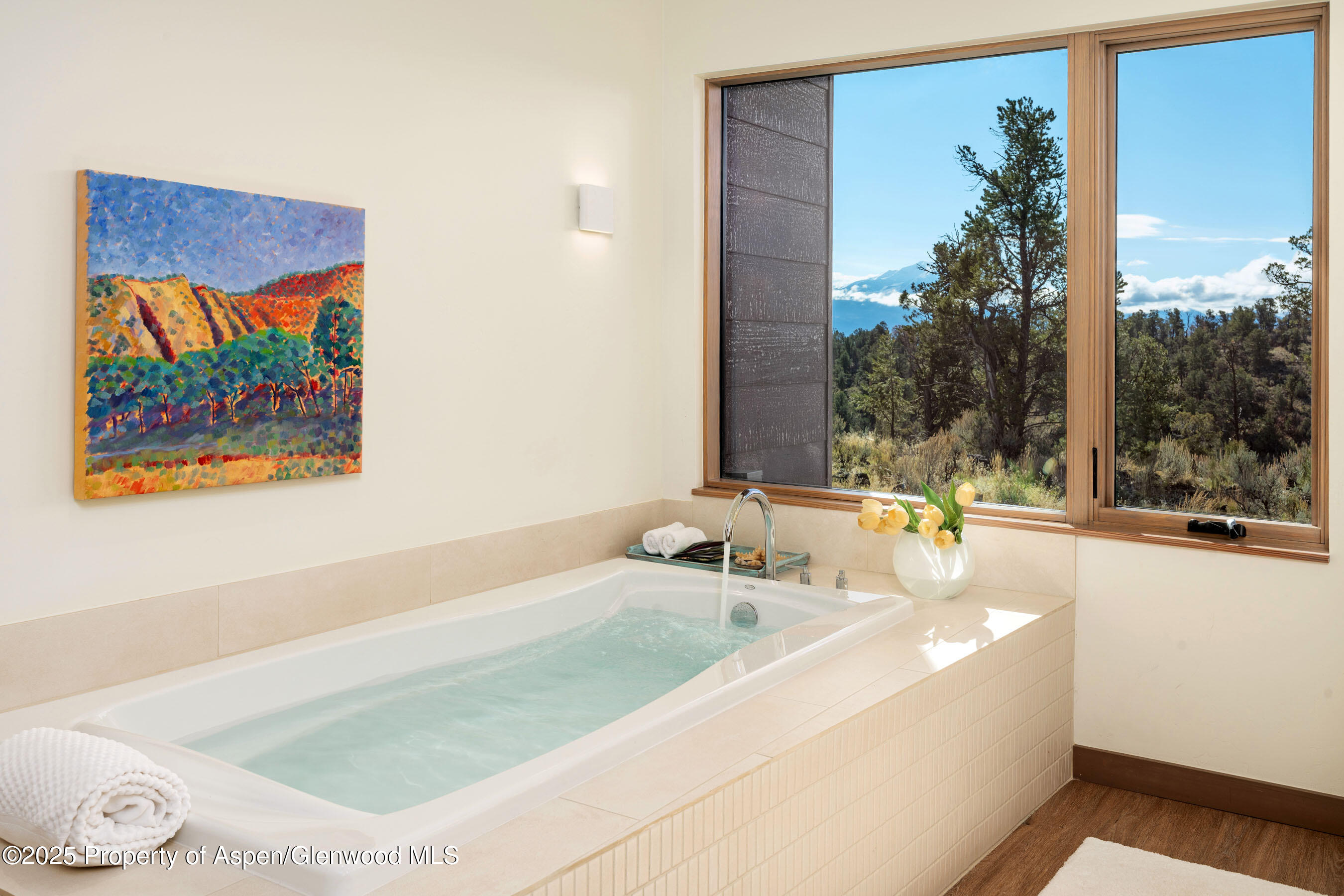 2685 Elk Springs Drive Glenwood Springs CO 81601