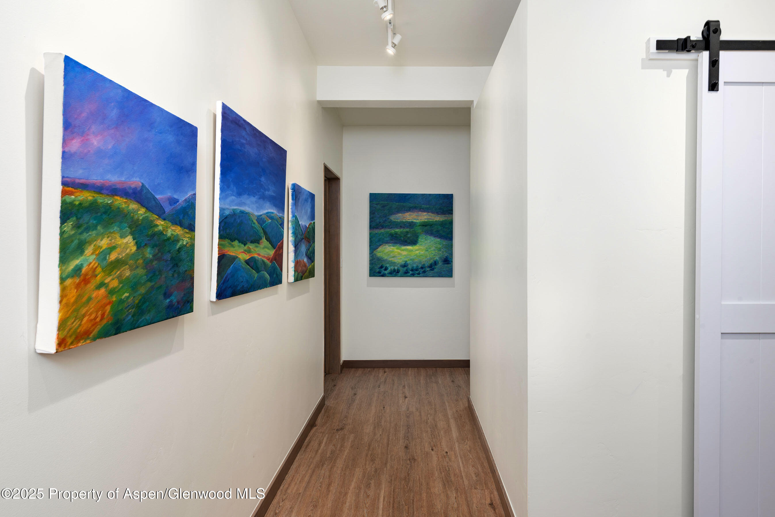 2685 Elk Springs Drive Glenwood Springs CO 81601